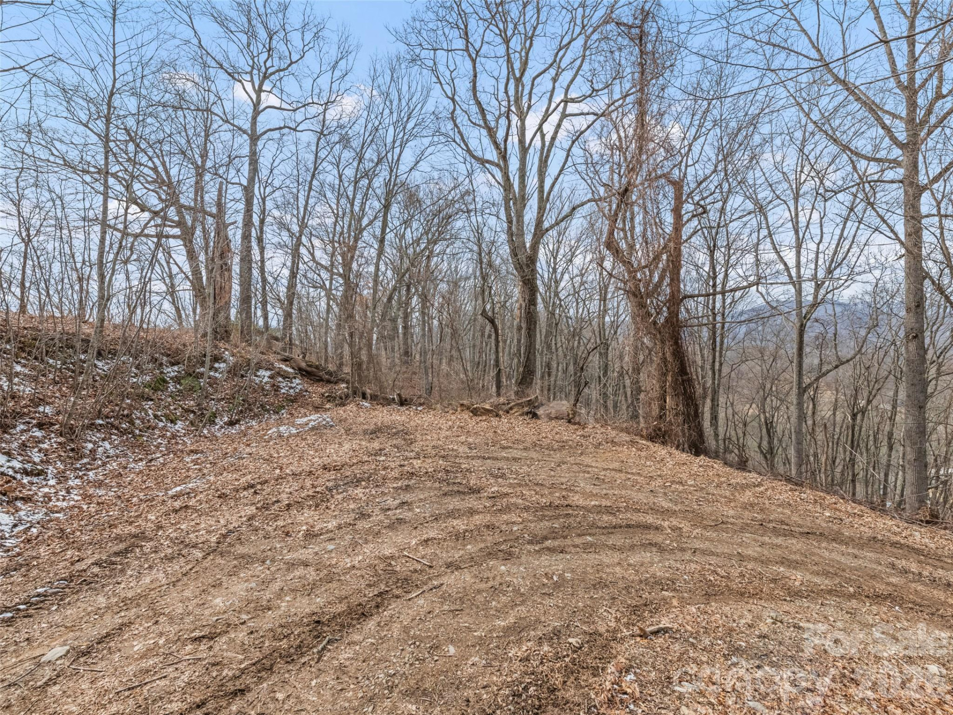 Lots #6 and 7 Viewpoint Mountain - Photo 15