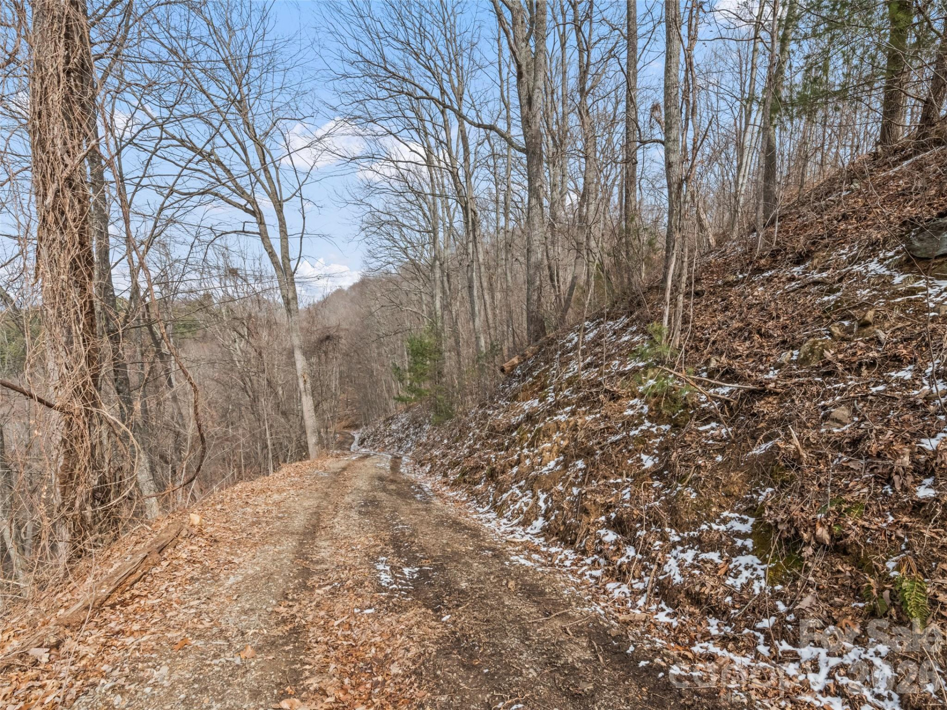 Lots #6 and 7 Viewpoint Mountain - Photo 16