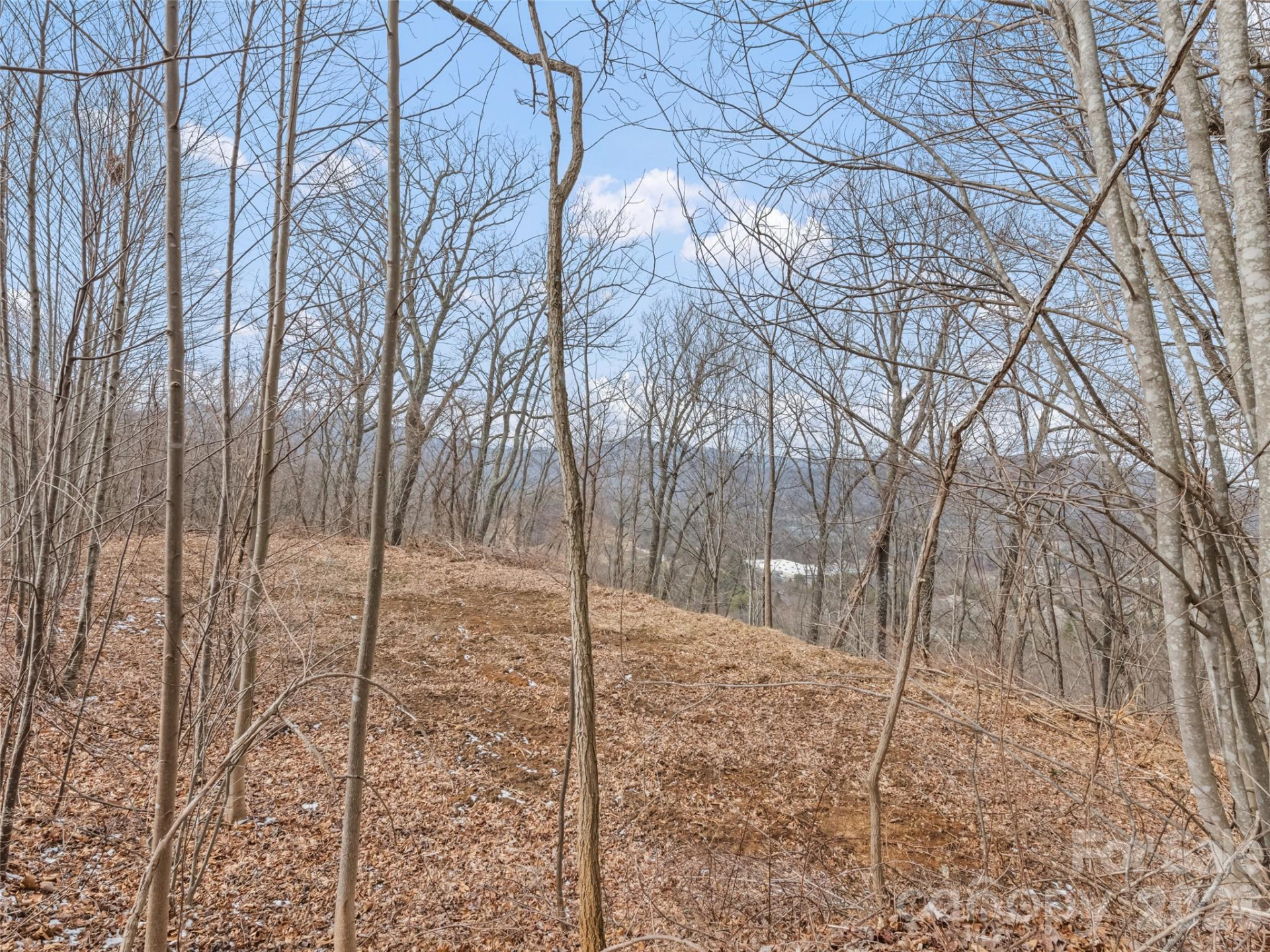 Lots #6 and 7 Viewpoint Mountain - Photo 21