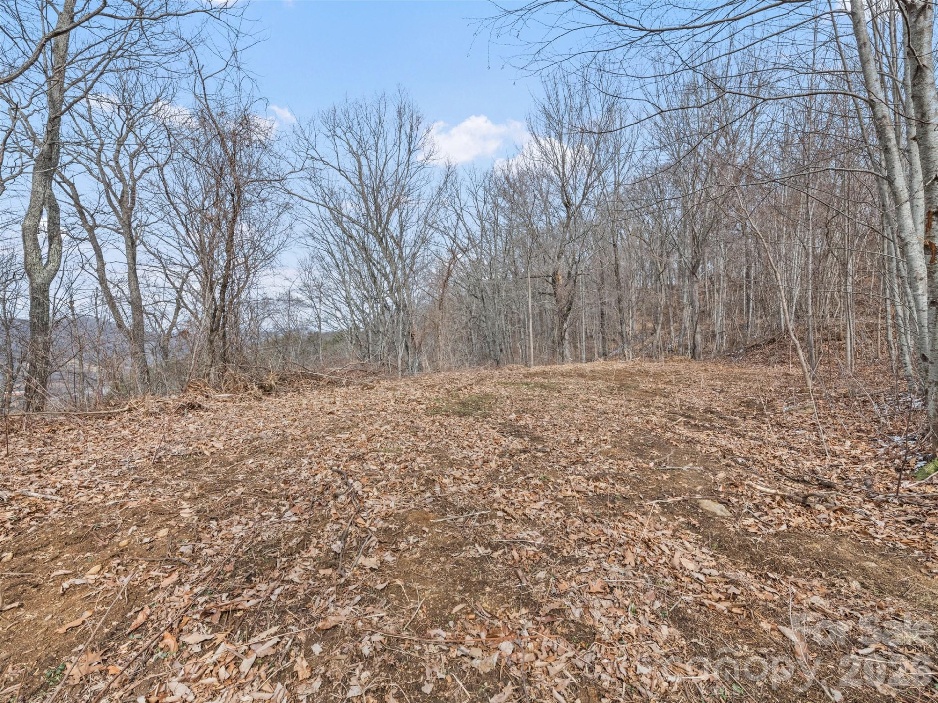 Lots #6 and 7 Viewpoint Mountain - Photo 22