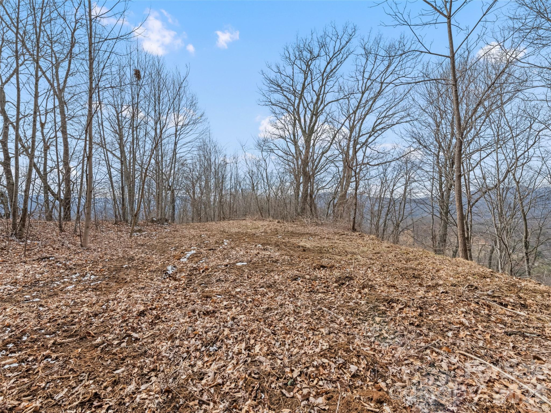 Lots #6 and 7 Viewpoint Mountain - Photo 23