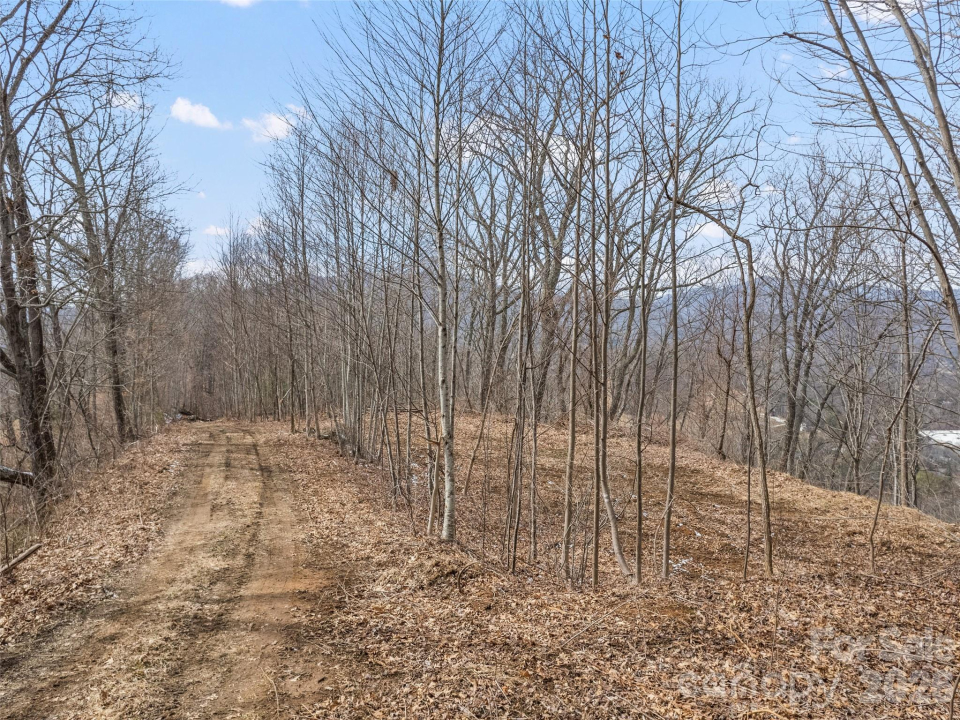 Lots #6 and 7 Viewpoint Mountain - Photo 5