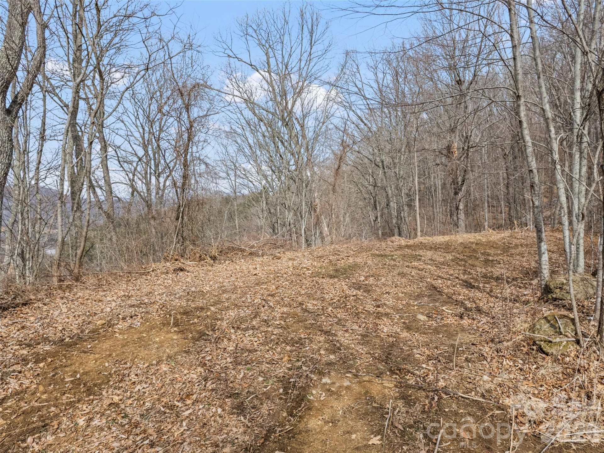 Lots #6 and 7 Viewpoint Mountain - Photo 6