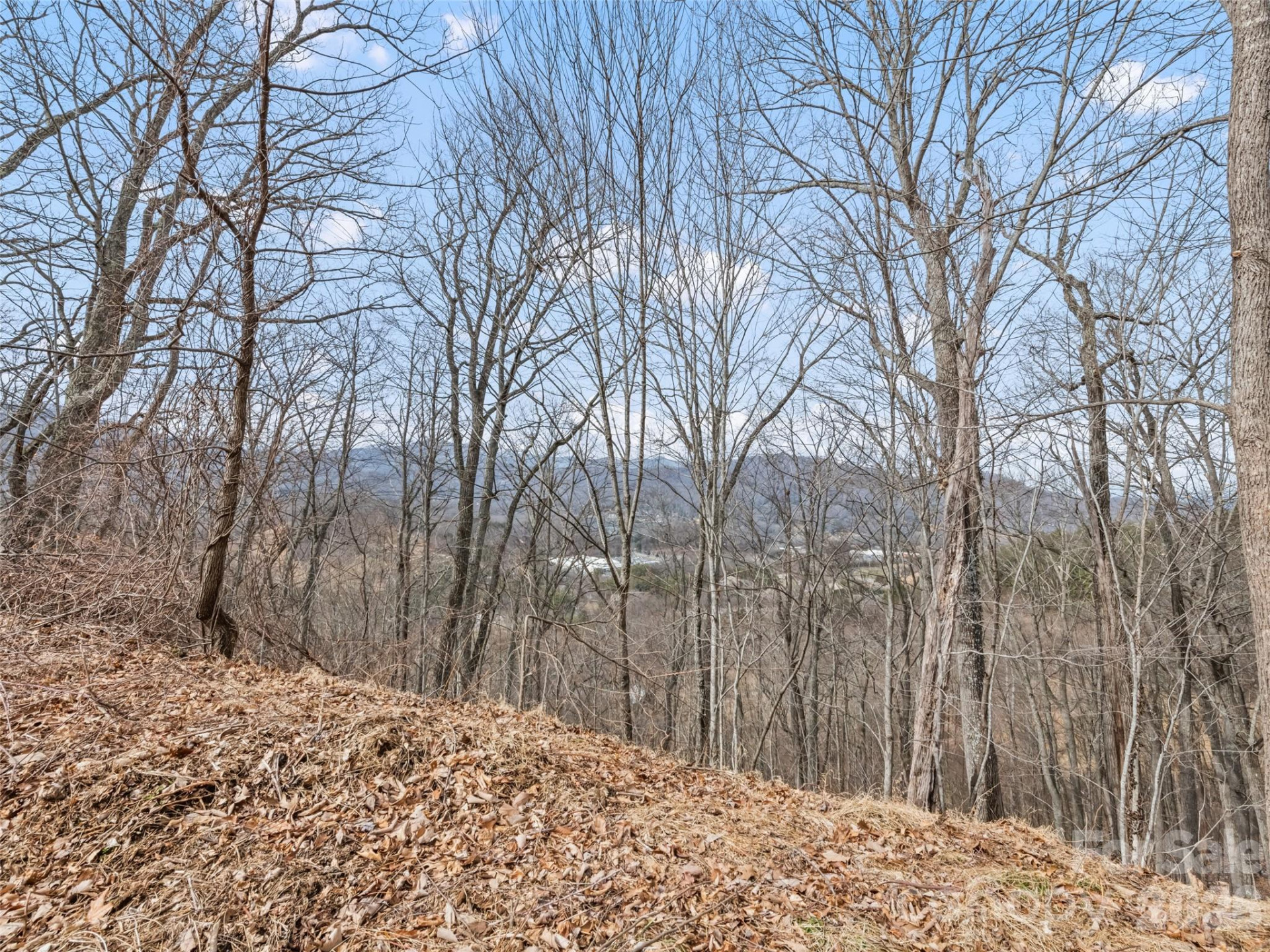 Lots #6 and 7 Viewpoint Mountain - Photo 10