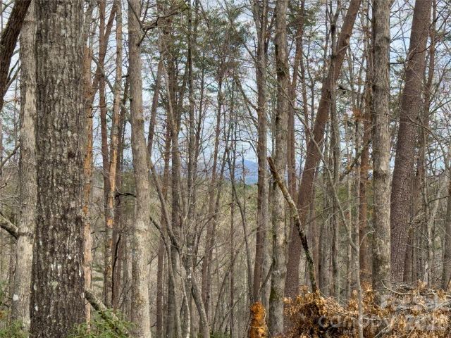 Lots 4-7 Carmel Ridge