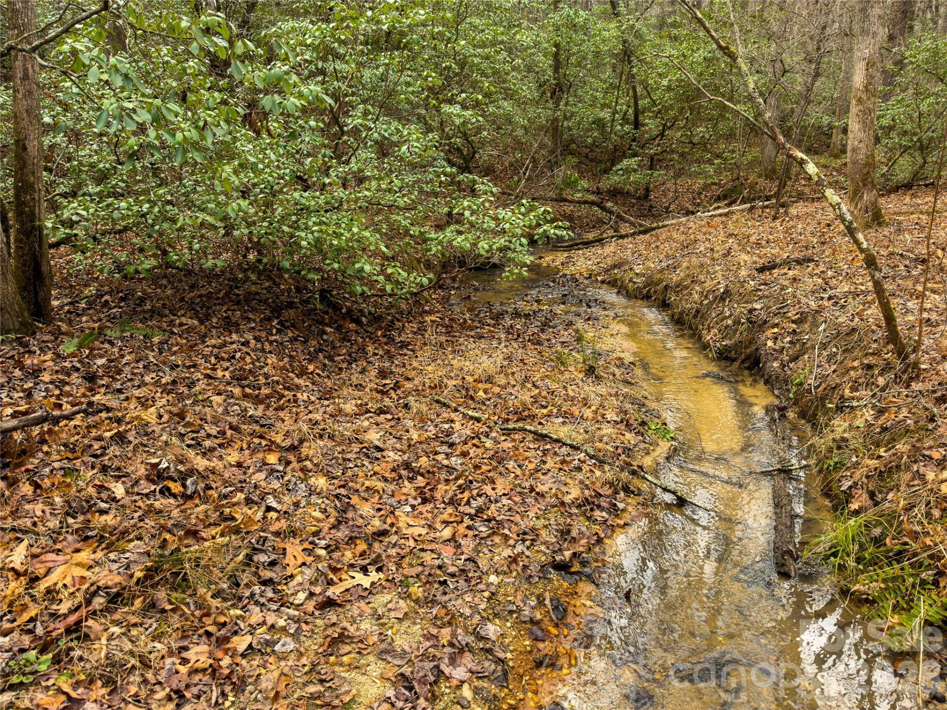 Lots 4-7 Carmel Ridge - Photo 2