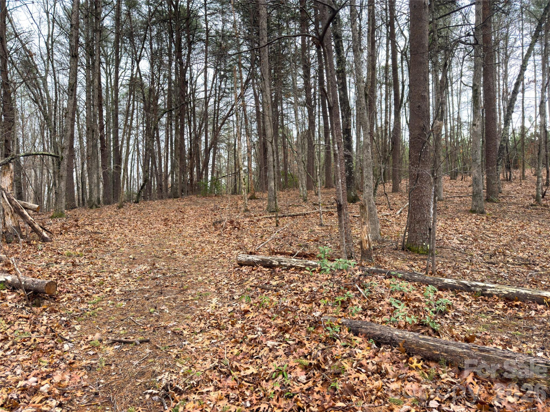 Lots 4-7 Carmel Ridge - Photo 11