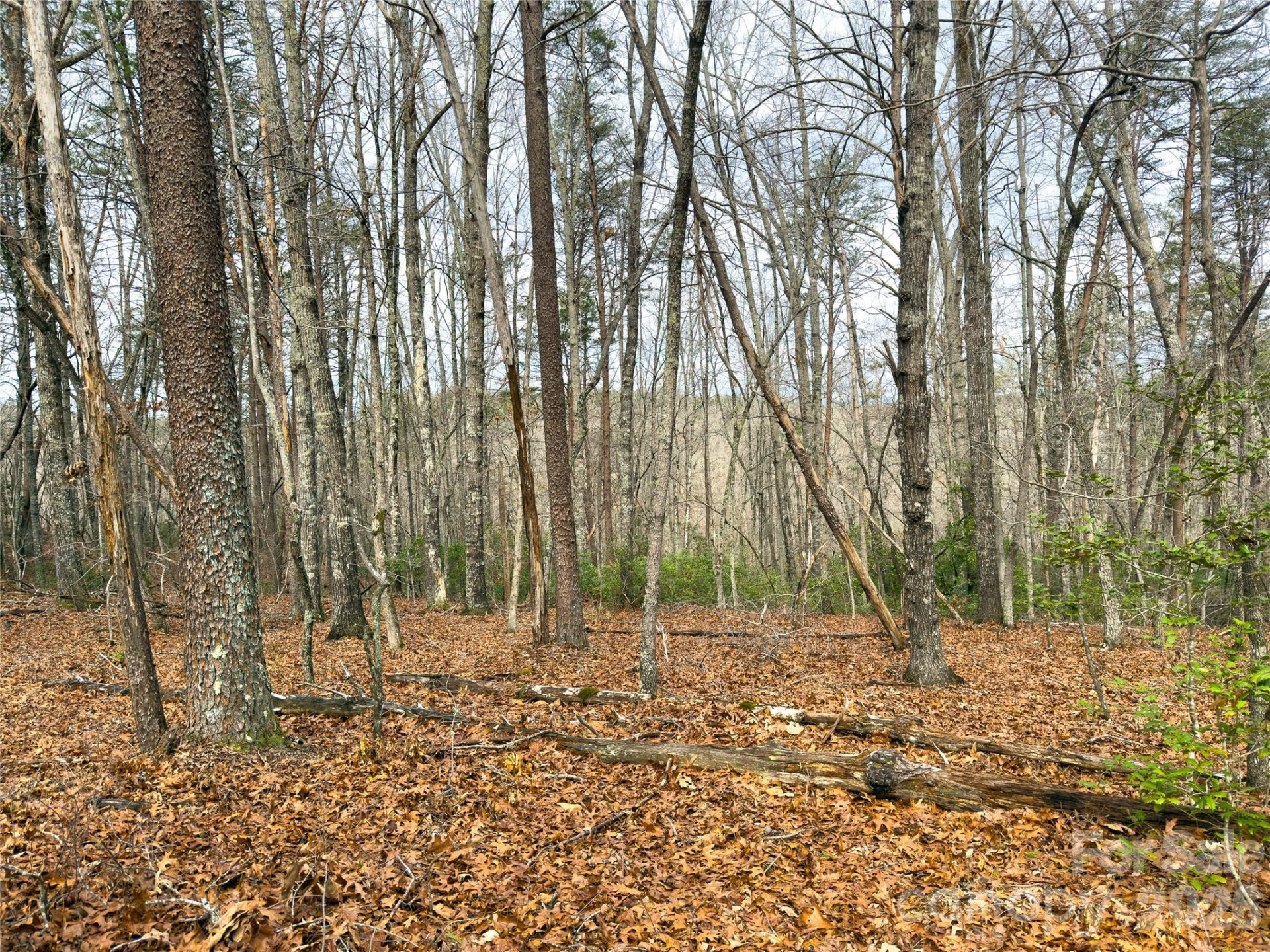 Lots 4-7 Carmel Ridge - Photo 12