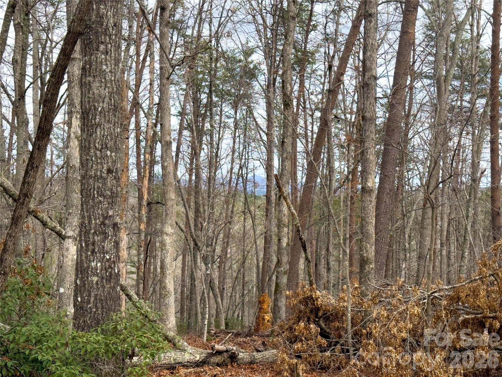 Lots 4-7 Carmel Ridge - Photo 14