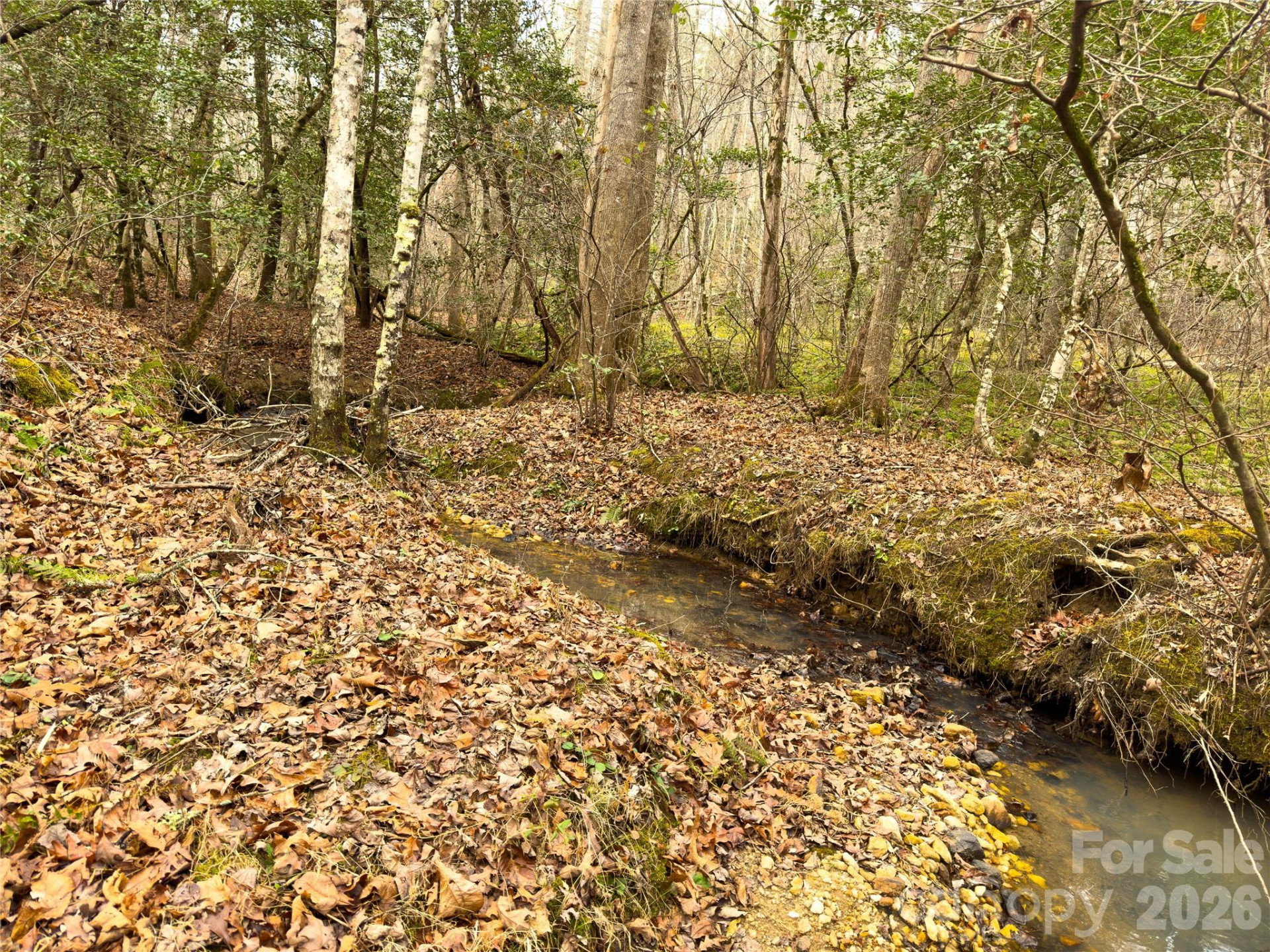 Lots 4-7 Carmel Ridge - Photo 16