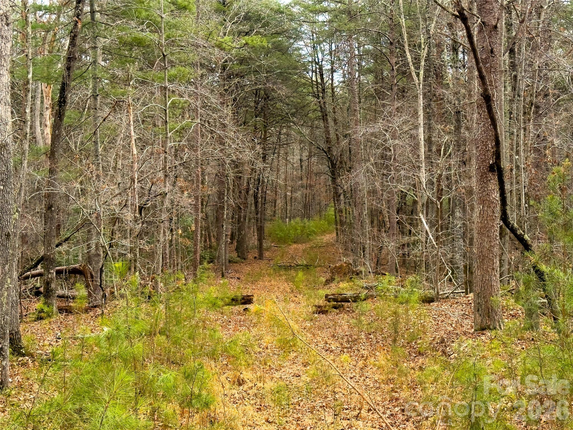 Lots 4-7 Carmel Ridge - Photo 4