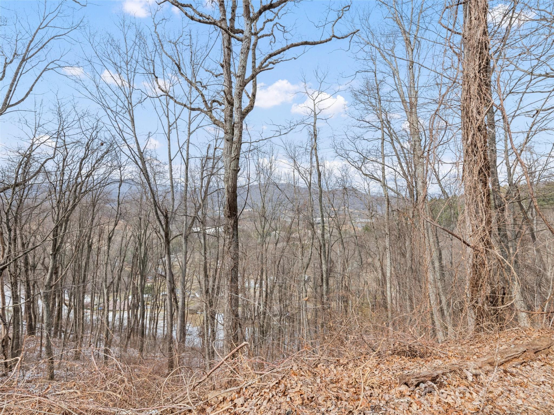 Lot #8 Viewpoint Mountain - Photo 4