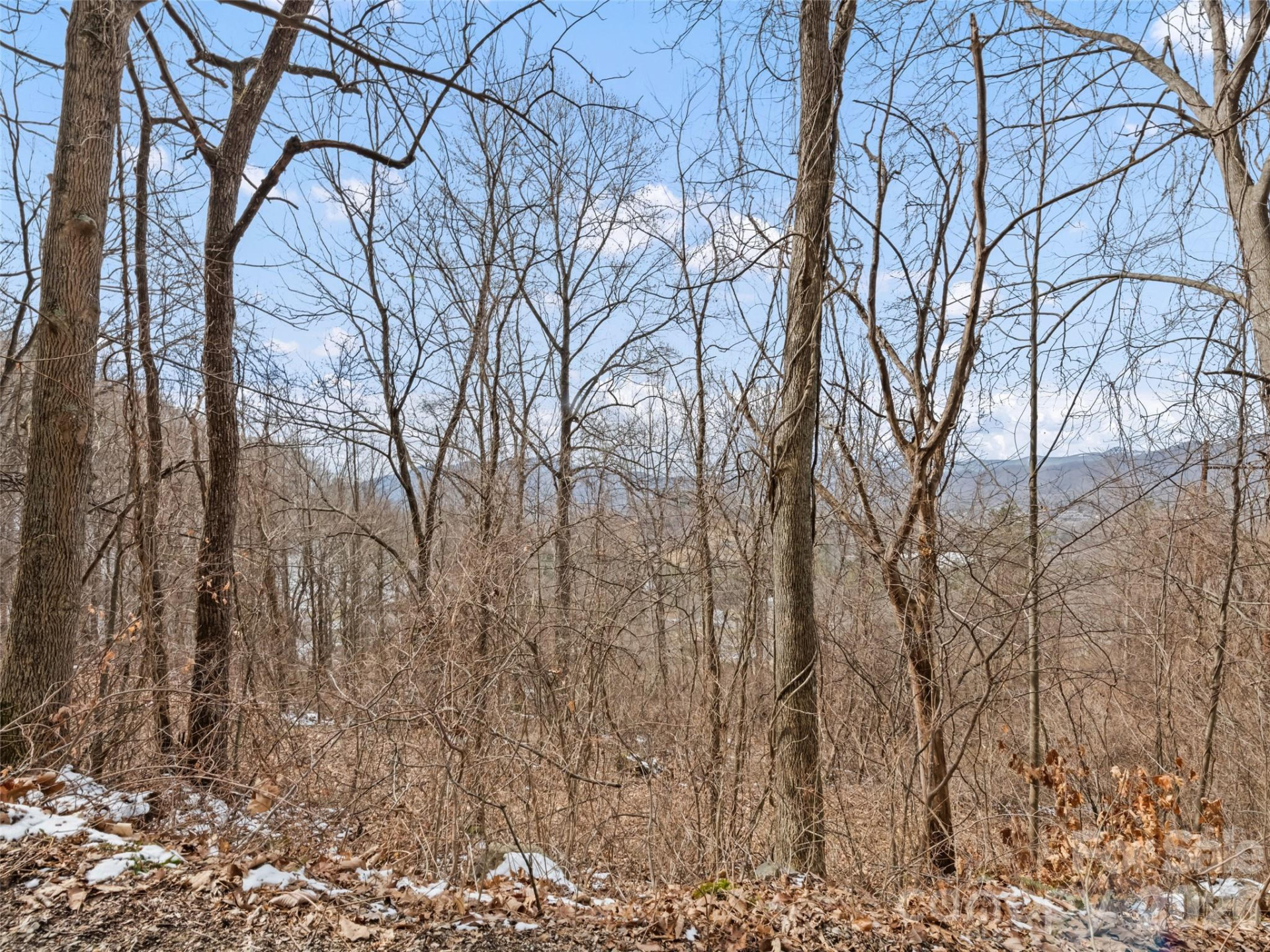 Lot #8 Viewpoint Mountain - Photo 7