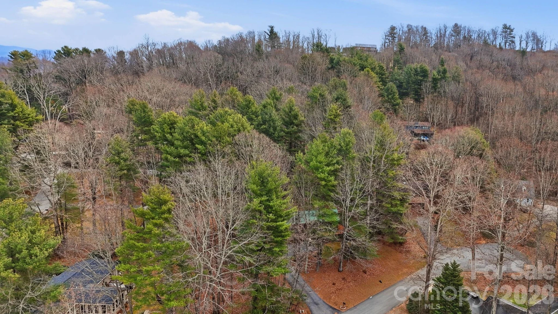205 Mint Way - Photo 29