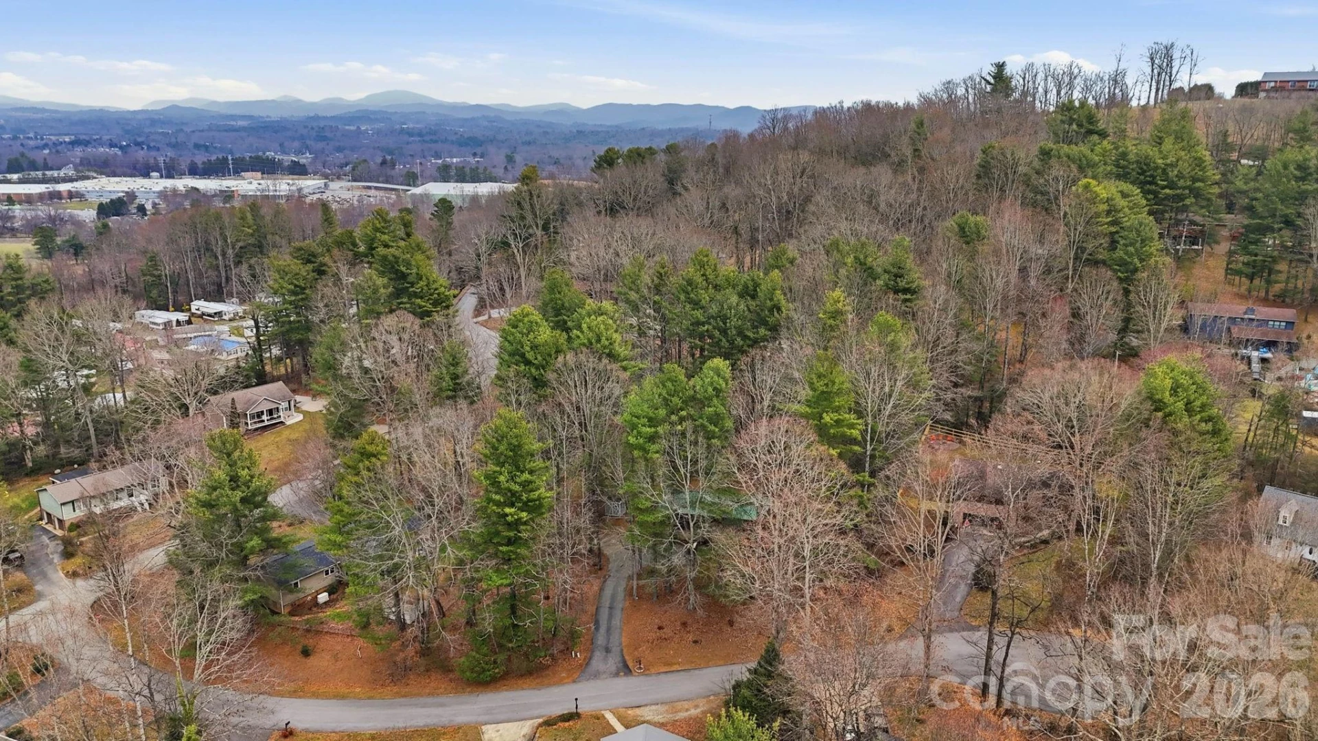 205 Mint Way - Photo 30