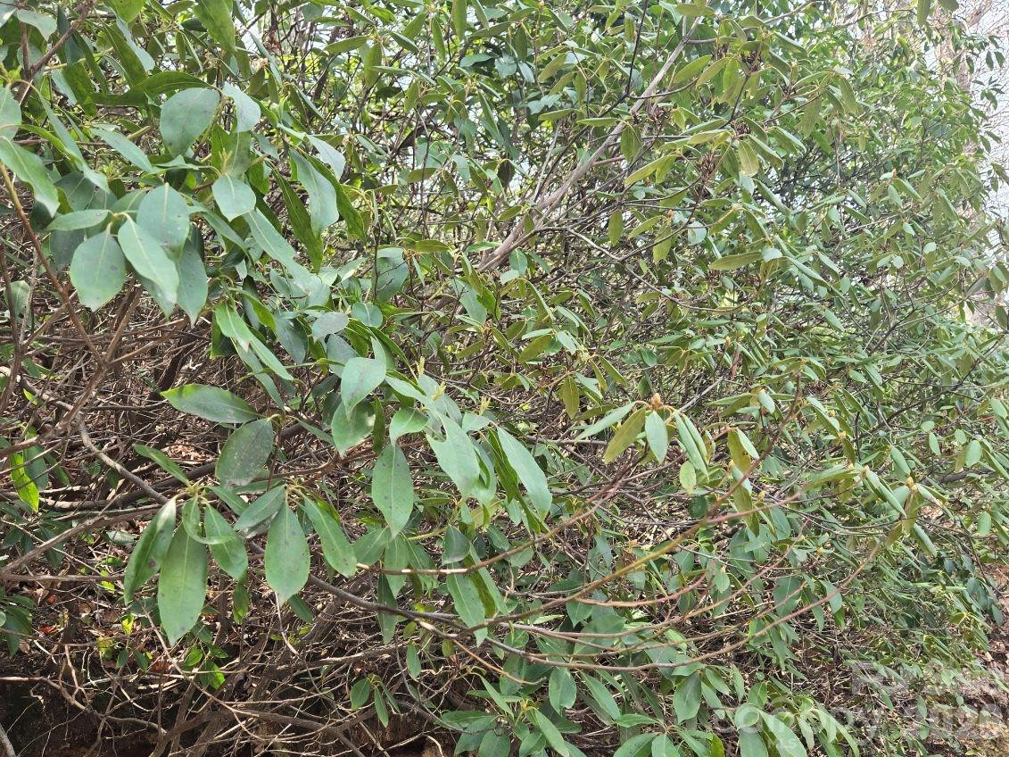 229 Buzzards Place - Photo 11