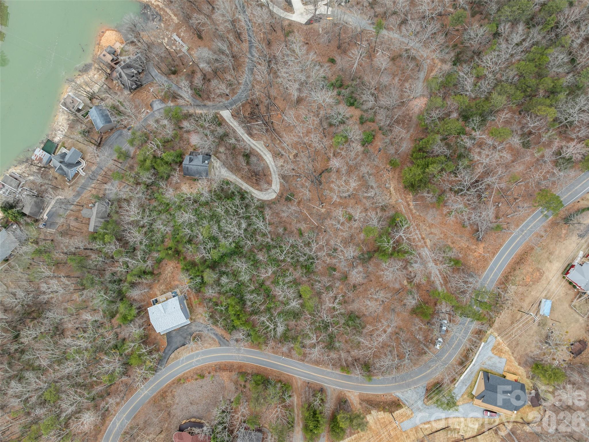 0 Buffalo Shoals Road #Tract IV, Lot 25 - Photo 2