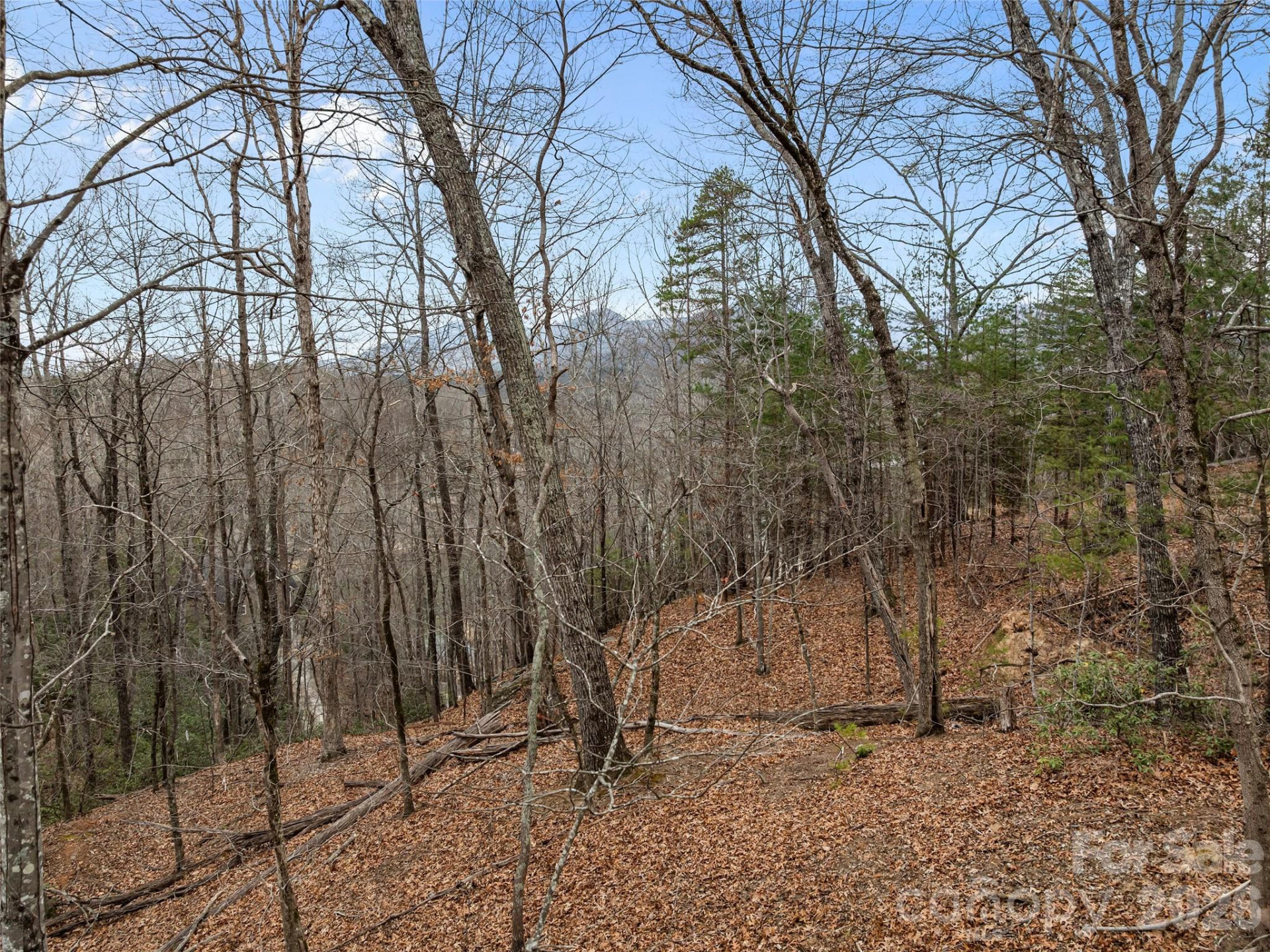 0 Buffalo Shoals Road #Tract IV, Lot 25 - Photo 16