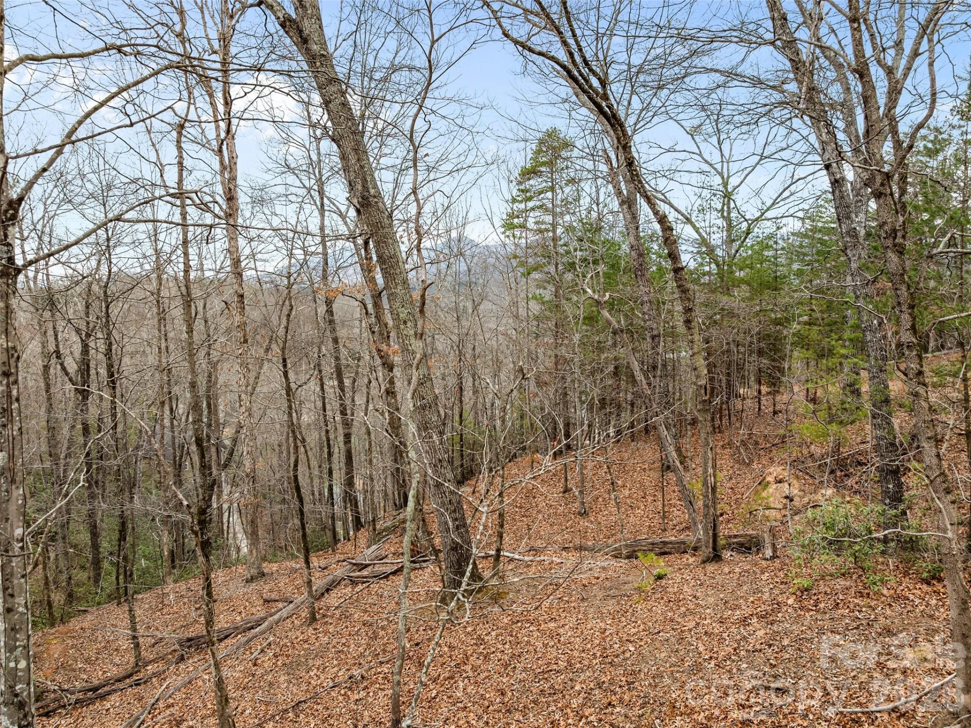 0 Buffalo Shoals Road #Tract IV, Lot 25 - Photo 31