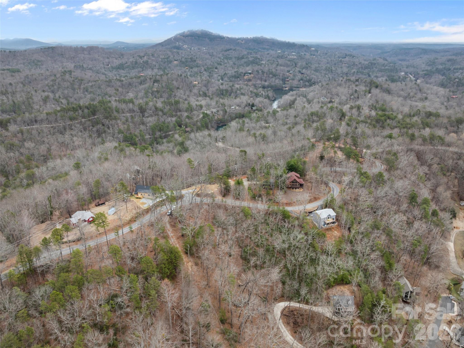 0 Buffalo Shoals Road #Tract IV, Lot 25 - Photo 7