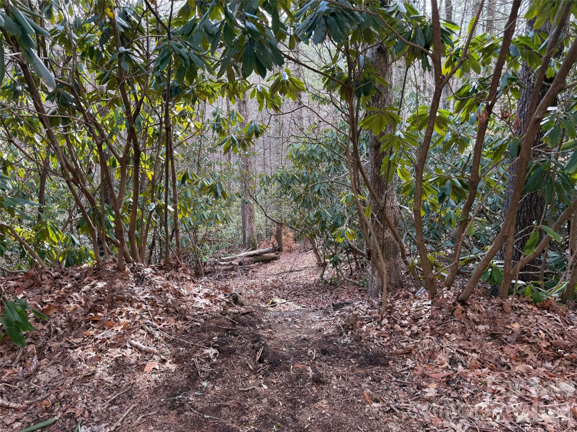 TBD Cherrywood Lane #L-12 - Photo 2