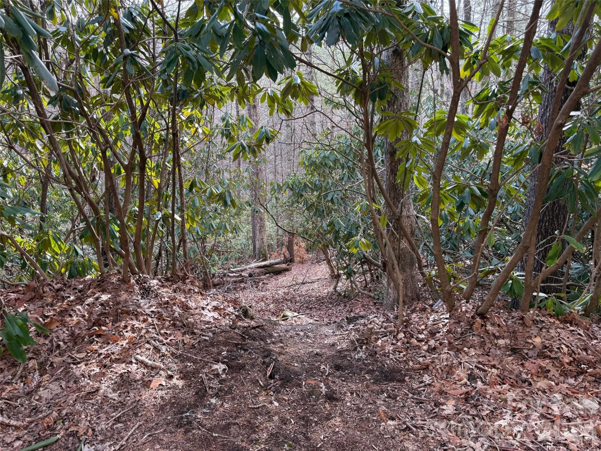 TBD Cherrywood Lane #L-12 - Photo 2
