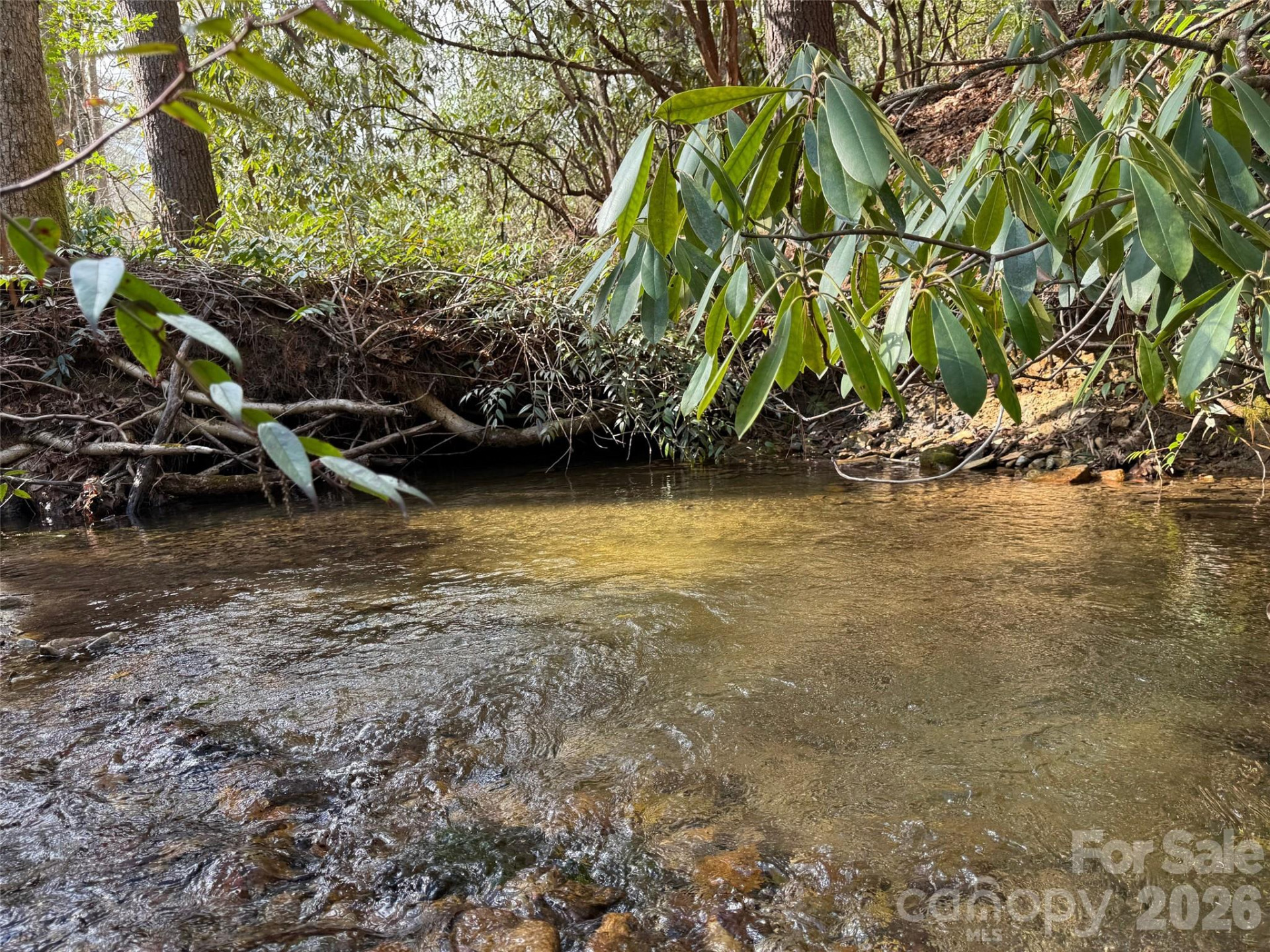 TBD Cherrywood Lane #L-12 - Photo 12