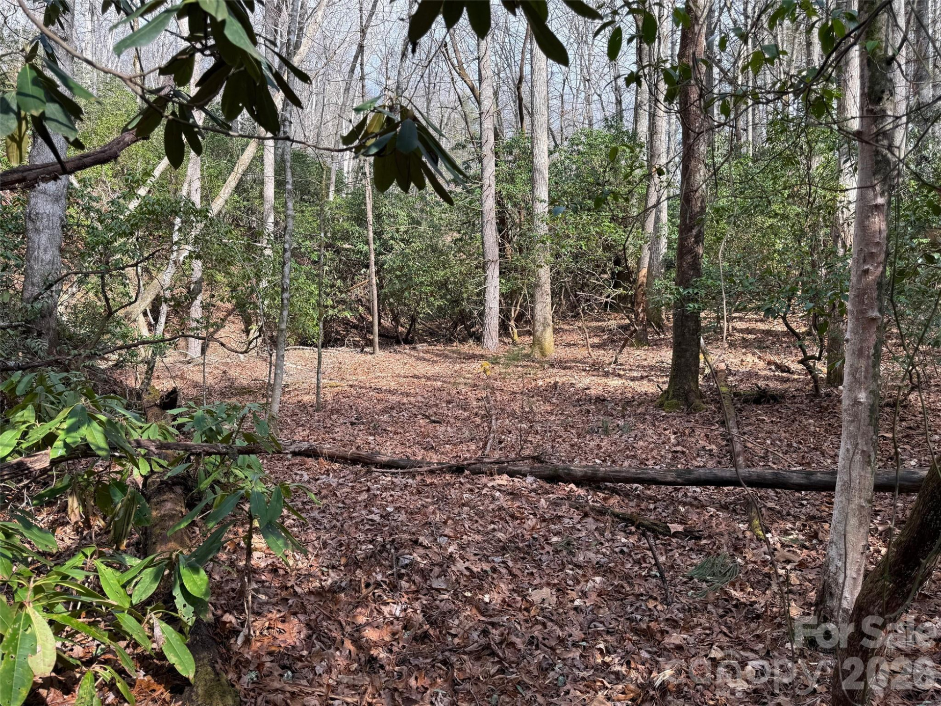 TBD Cherrywood Lane #L-12 - Photo 13