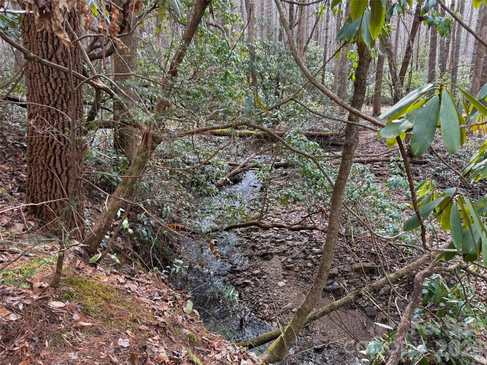 TBD Cherrywood Lane #L-12 - Photo 15