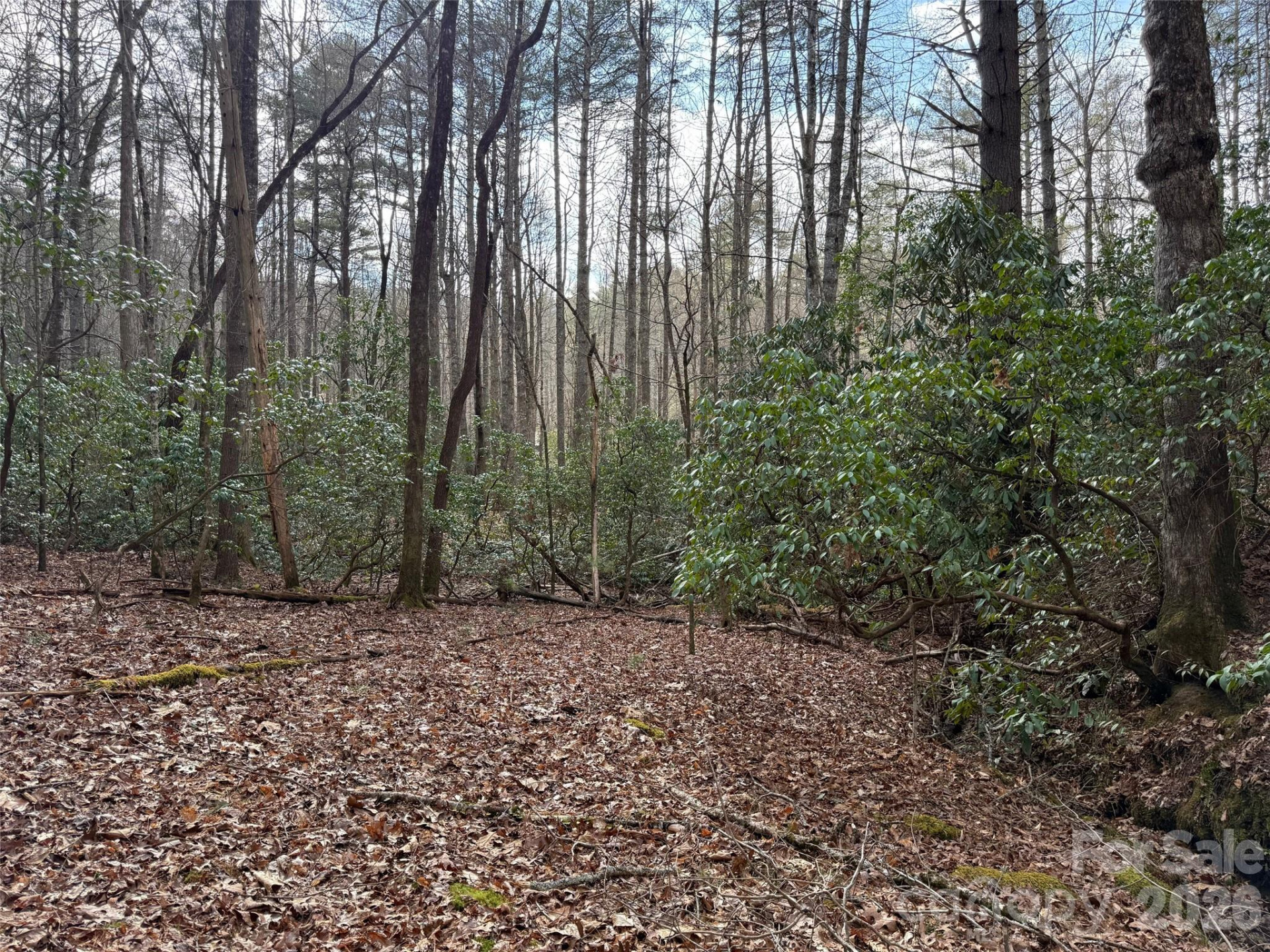 TBD Cherrywood Lane #L-12 - Photo 16