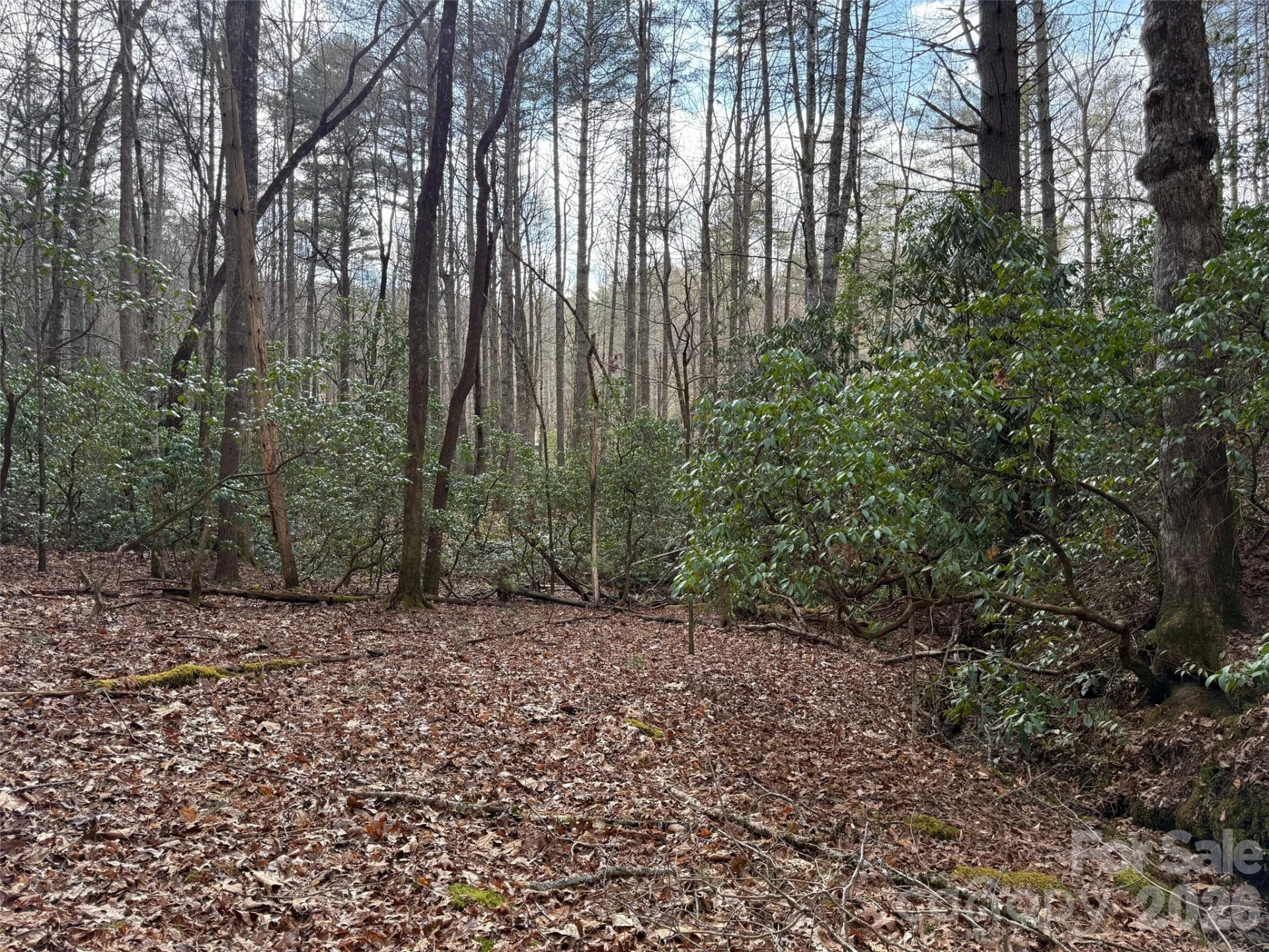 TBD Cherrywood Lane #L-12 - Photo 16