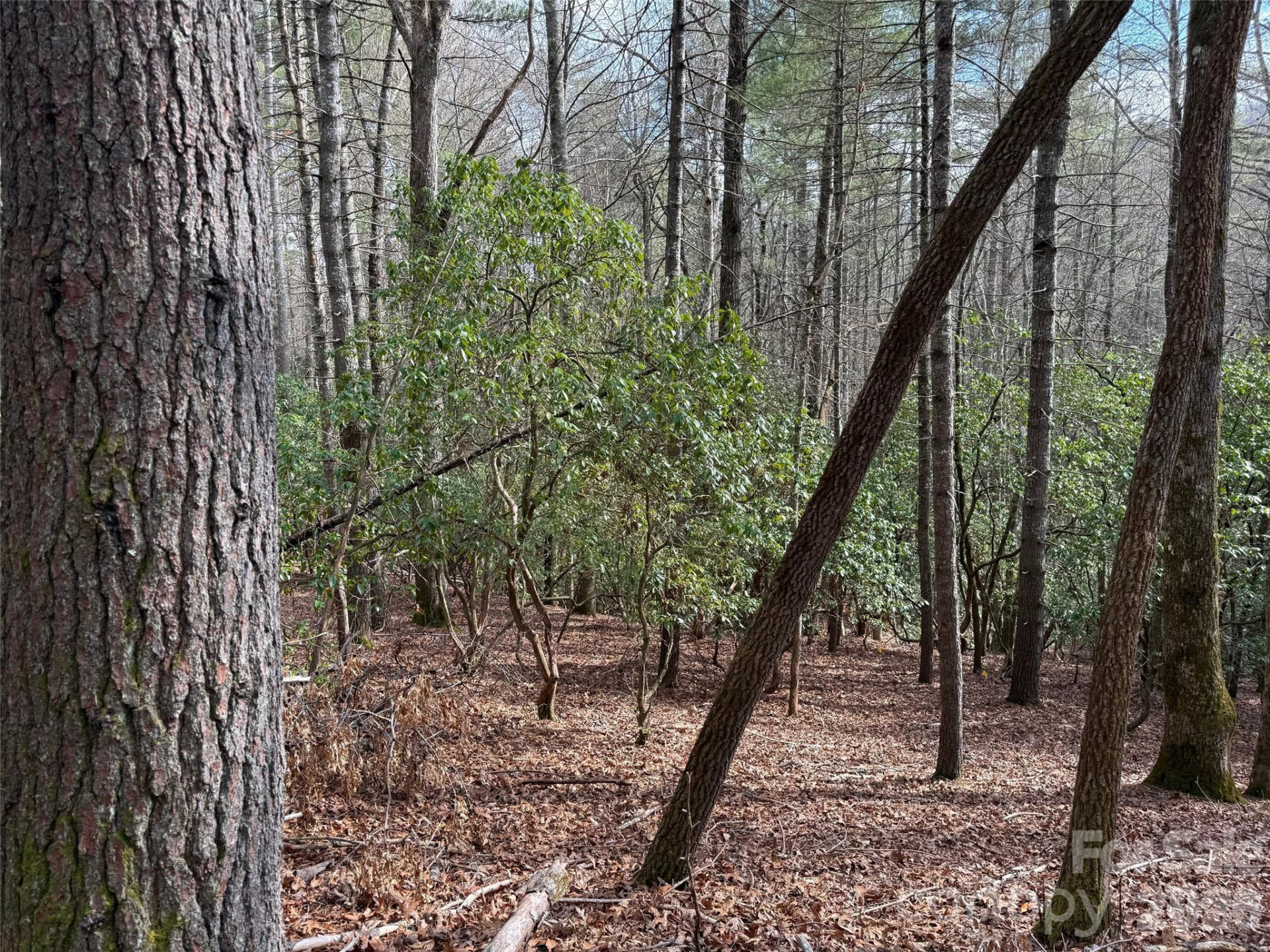 TBD Cherrywood Lane #L-12 - Photo 3
