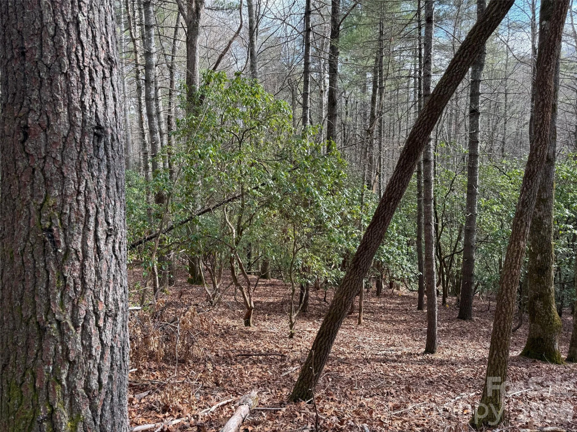TBD Cherrywood Lane #L-12 - Photo 3