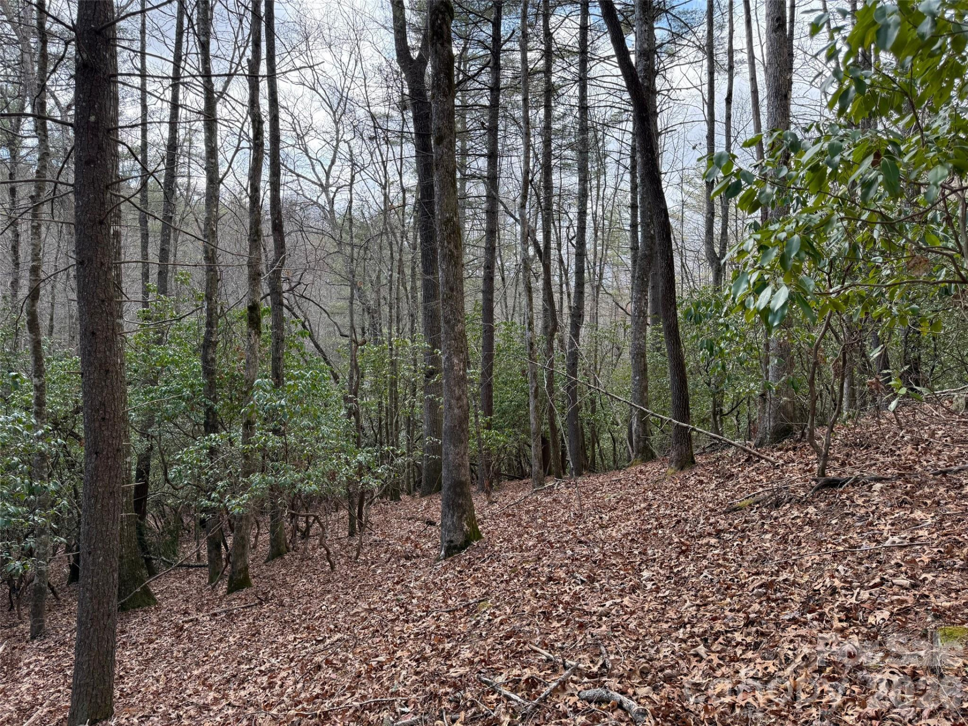 TBD Cherrywood Lane #L-12 - Photo 4