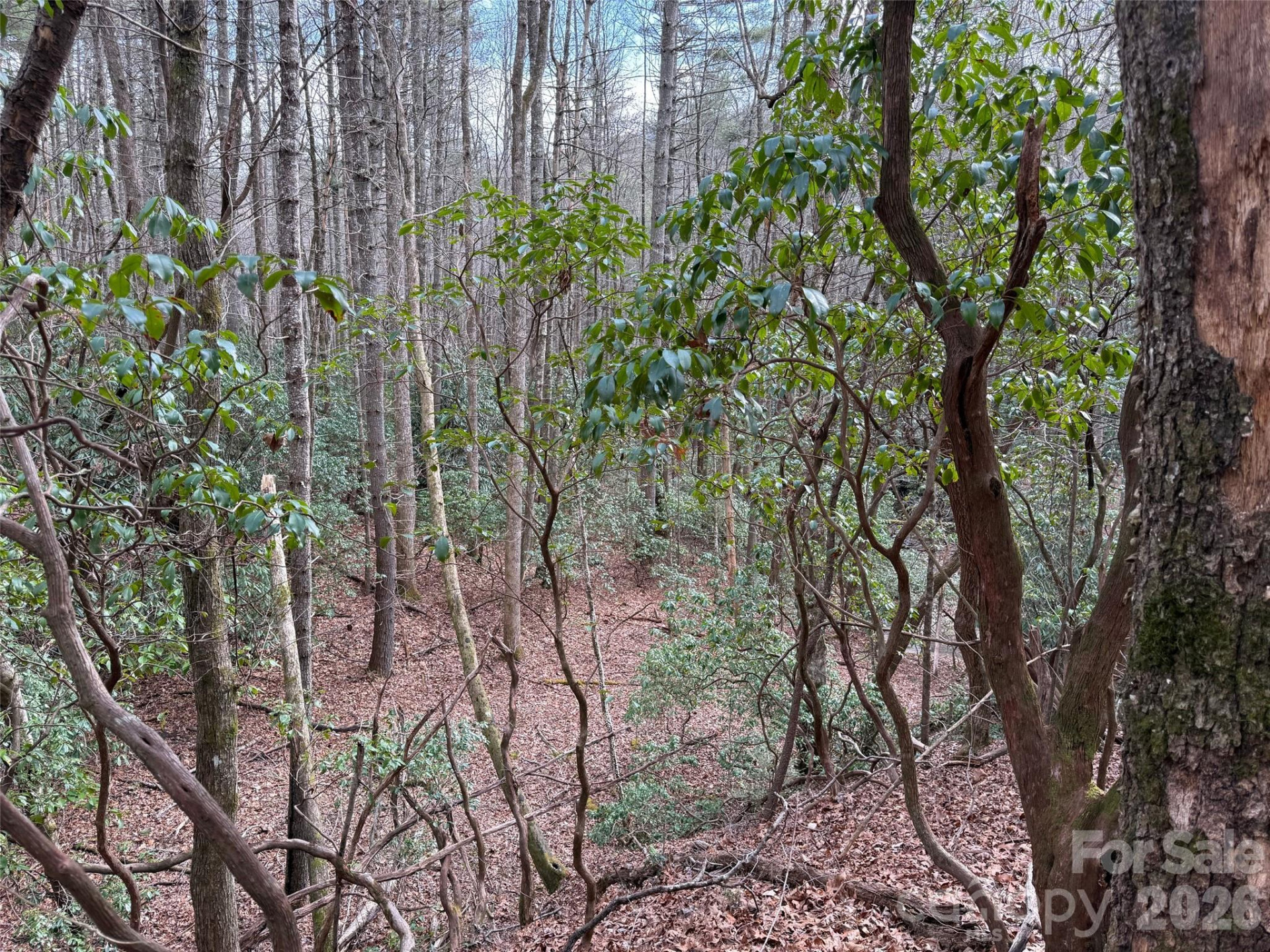 TBD Cherrywood Lane #L-12 - Photo 6