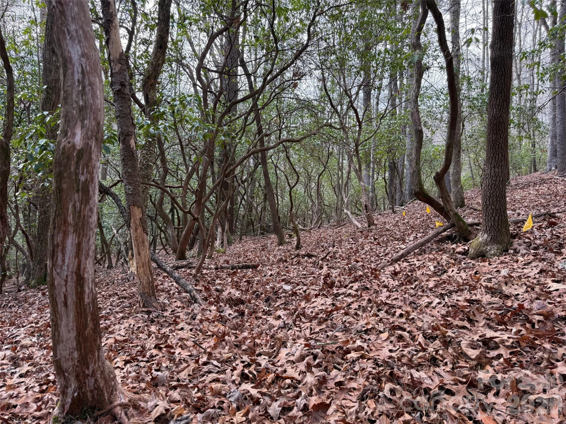 TBD Cherrywood Lane #L-12 - Photo 7