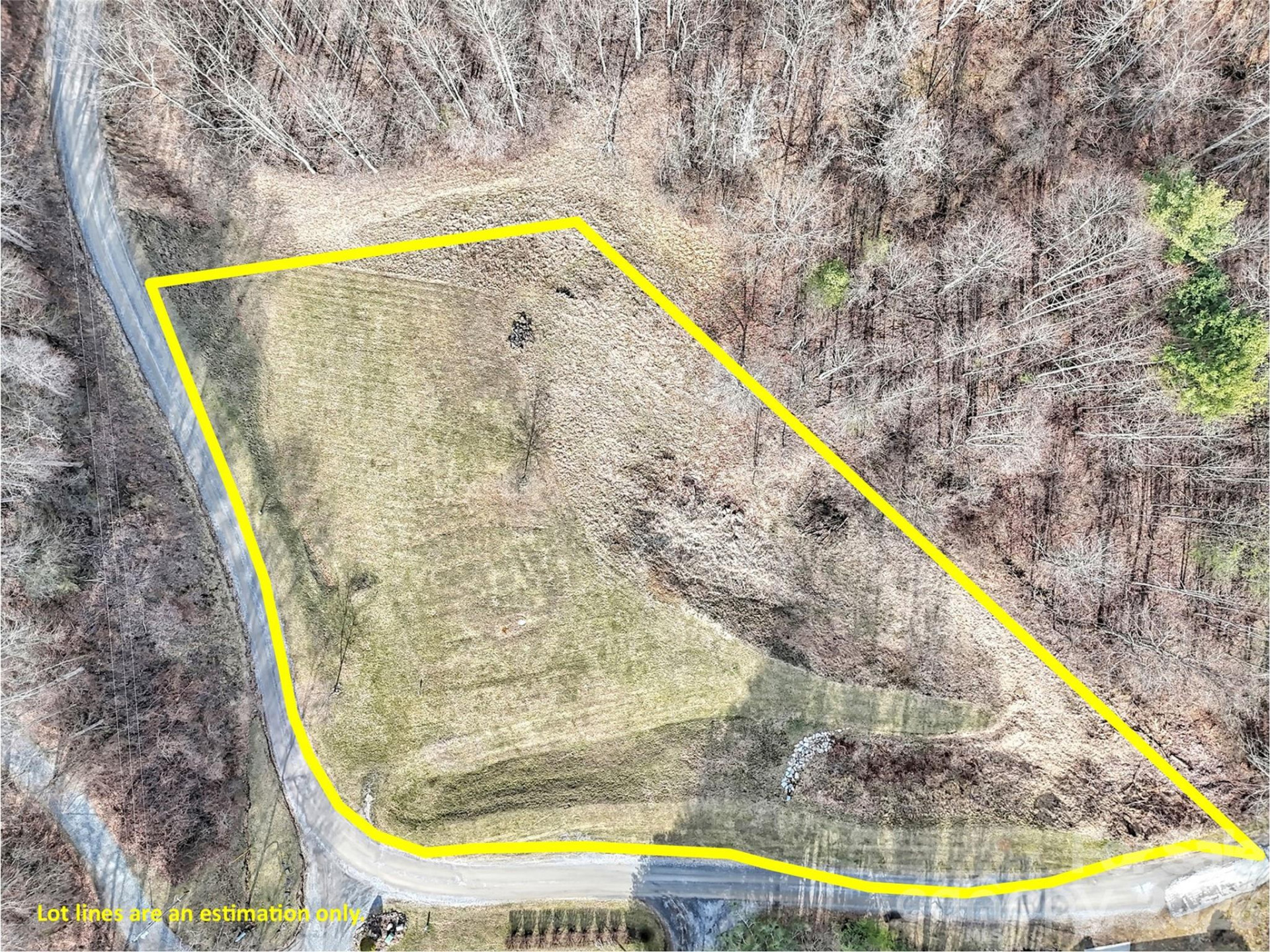 000 Seay Mountain Road - Photo 2