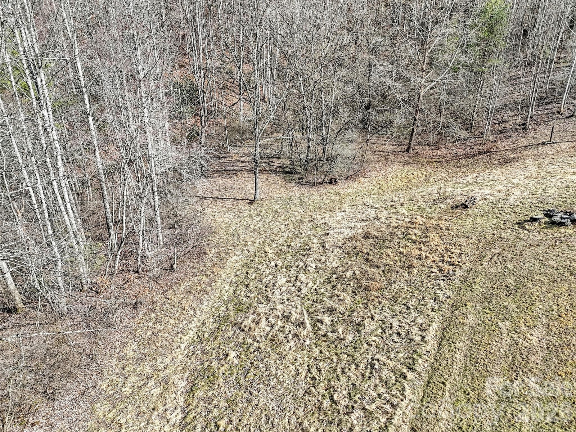 000 Seay Mountain Road - Photo 10