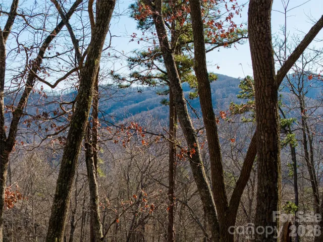 92 Smokey Ridge Trail