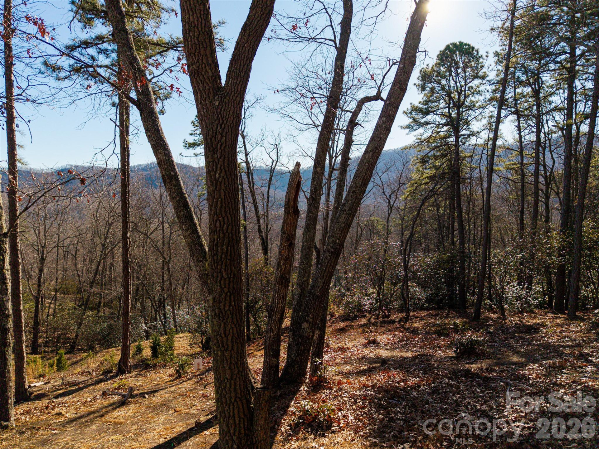 92 Smokey Ridge Trail - Photo 2