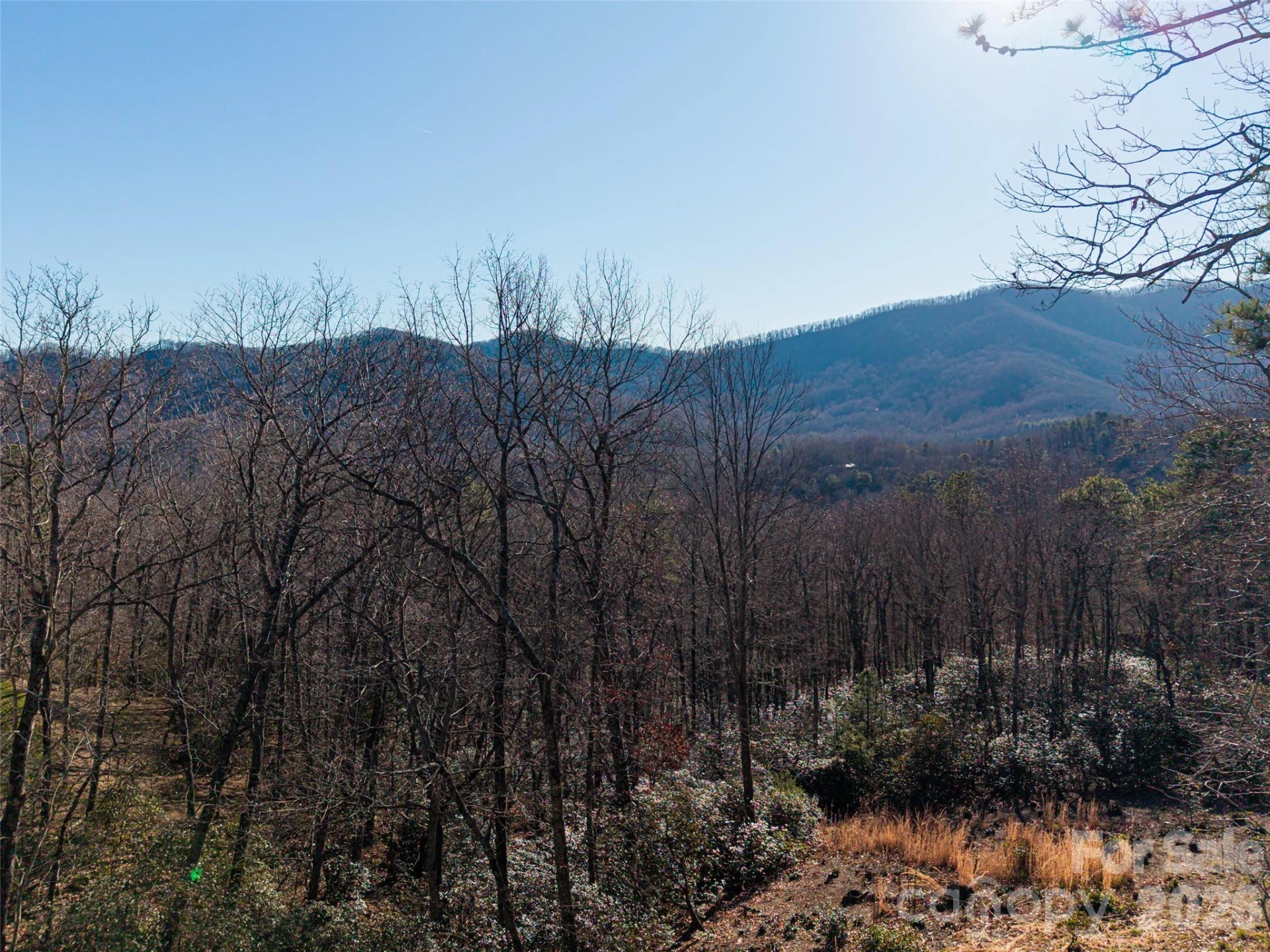 92 Smokey Ridge Trail - Photo 10