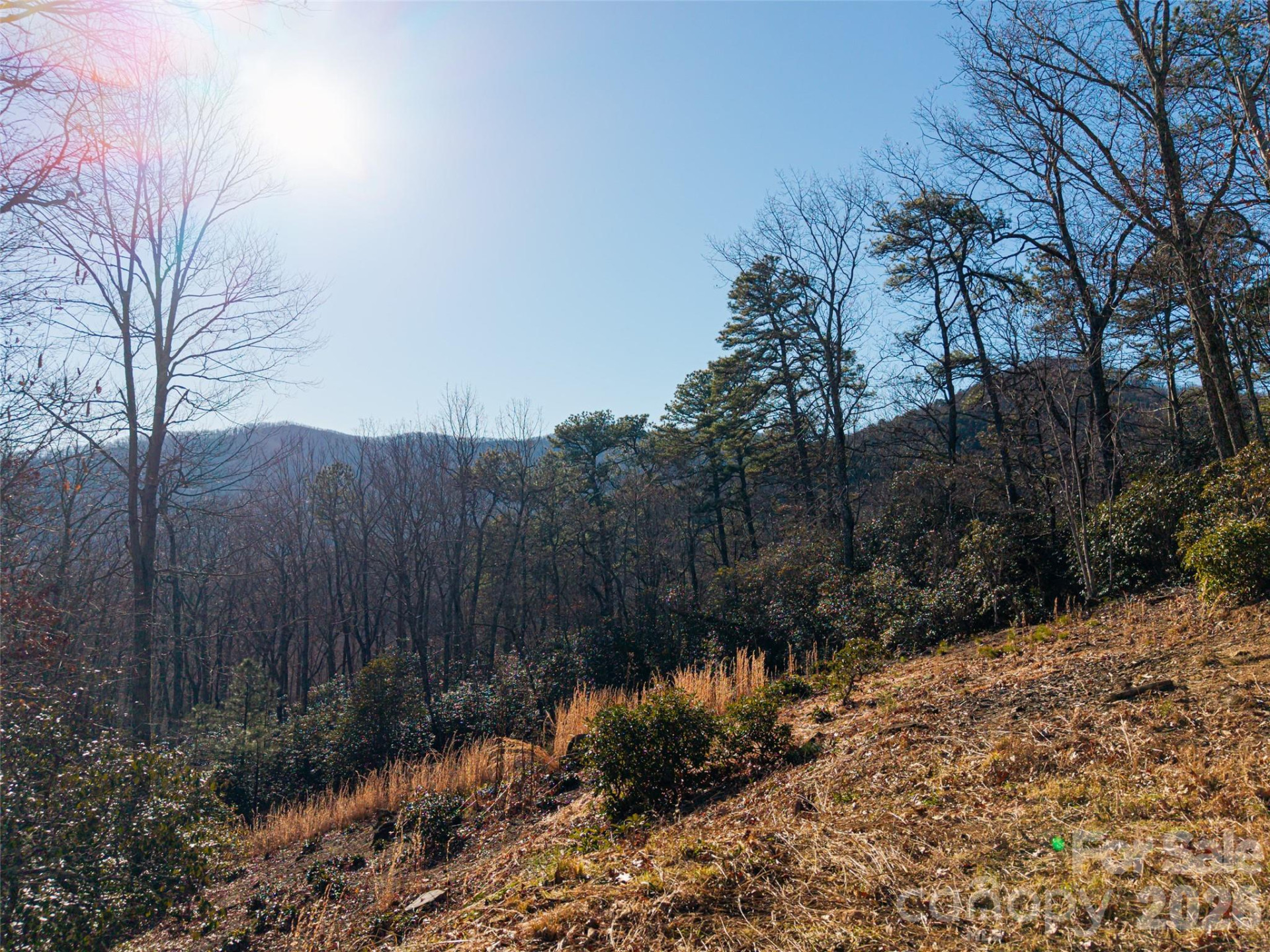 92 Smokey Ridge Trail - Photo 12