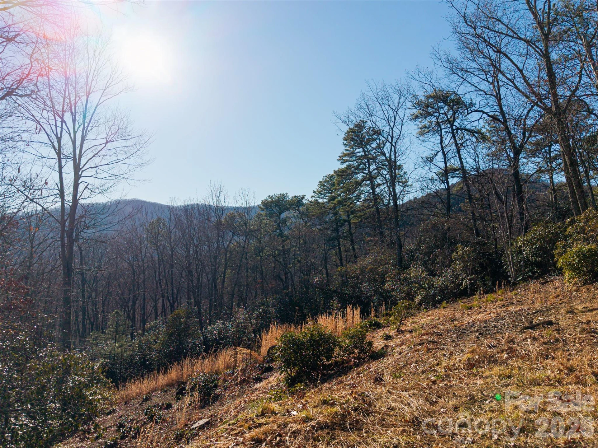 92 Smokey Ridge Trail - Photo 11