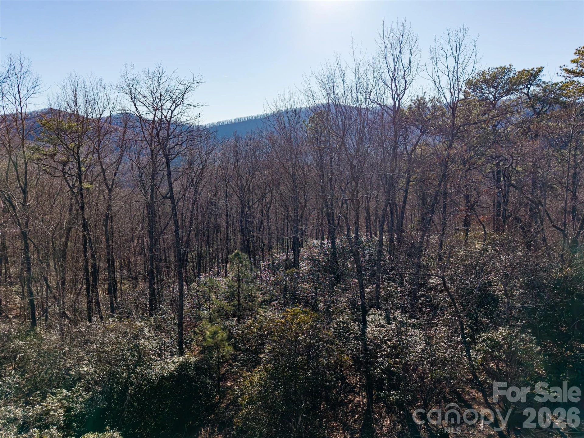 92 Smokey Ridge Trail - Photo 12
