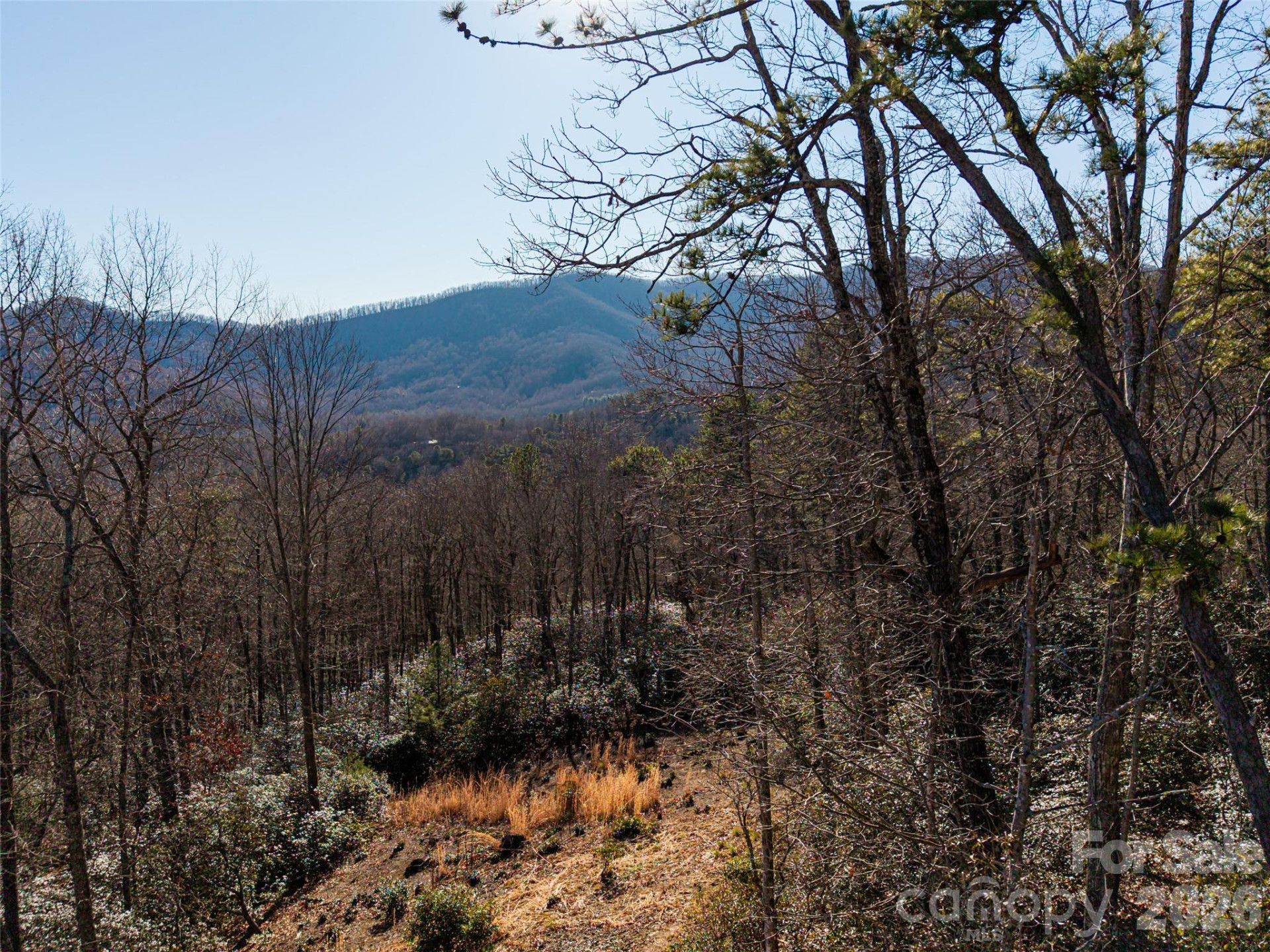 92 Smokey Ridge Trail - Photo 14