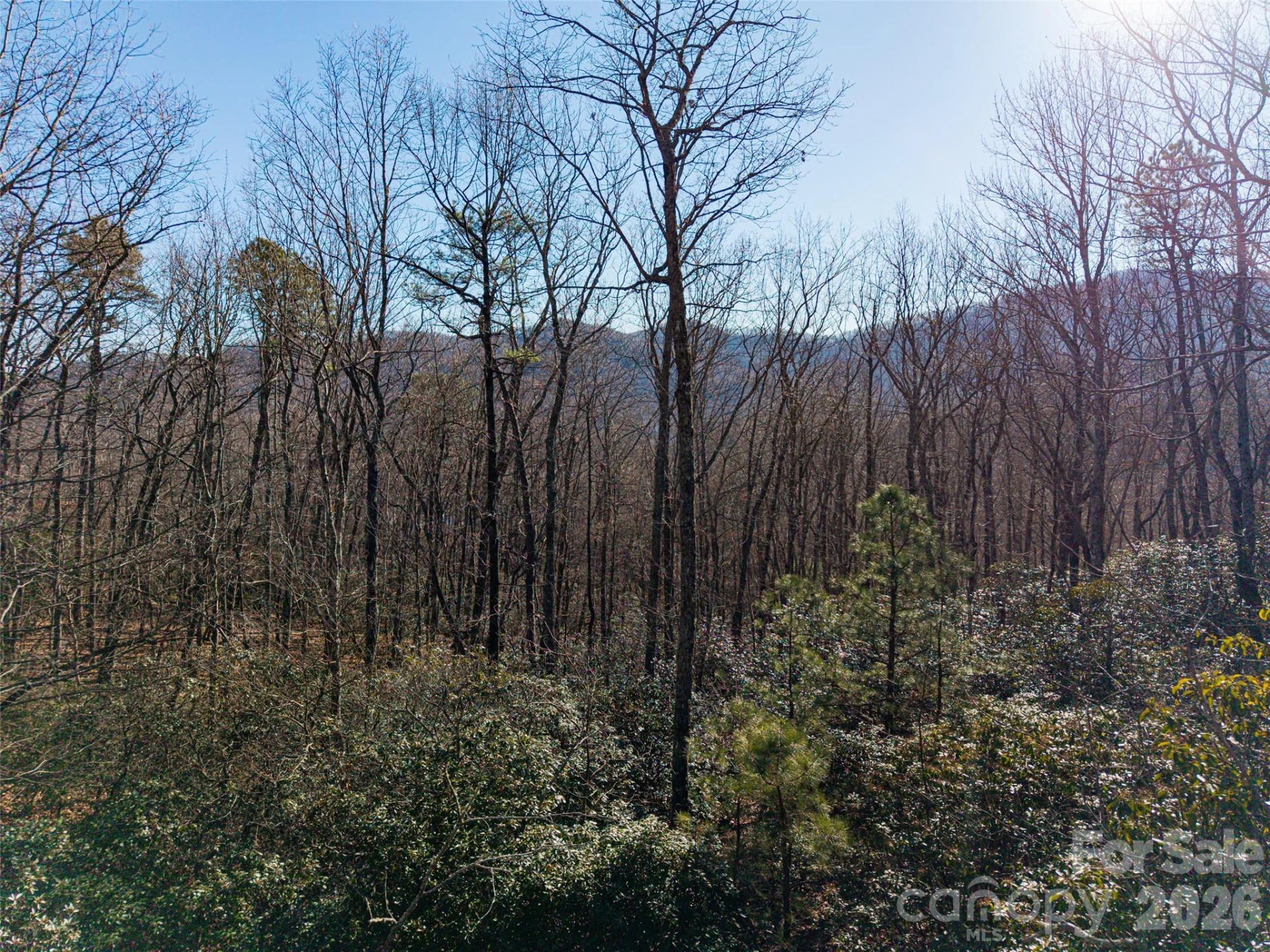 92 Smokey Ridge Trail - Photo 14