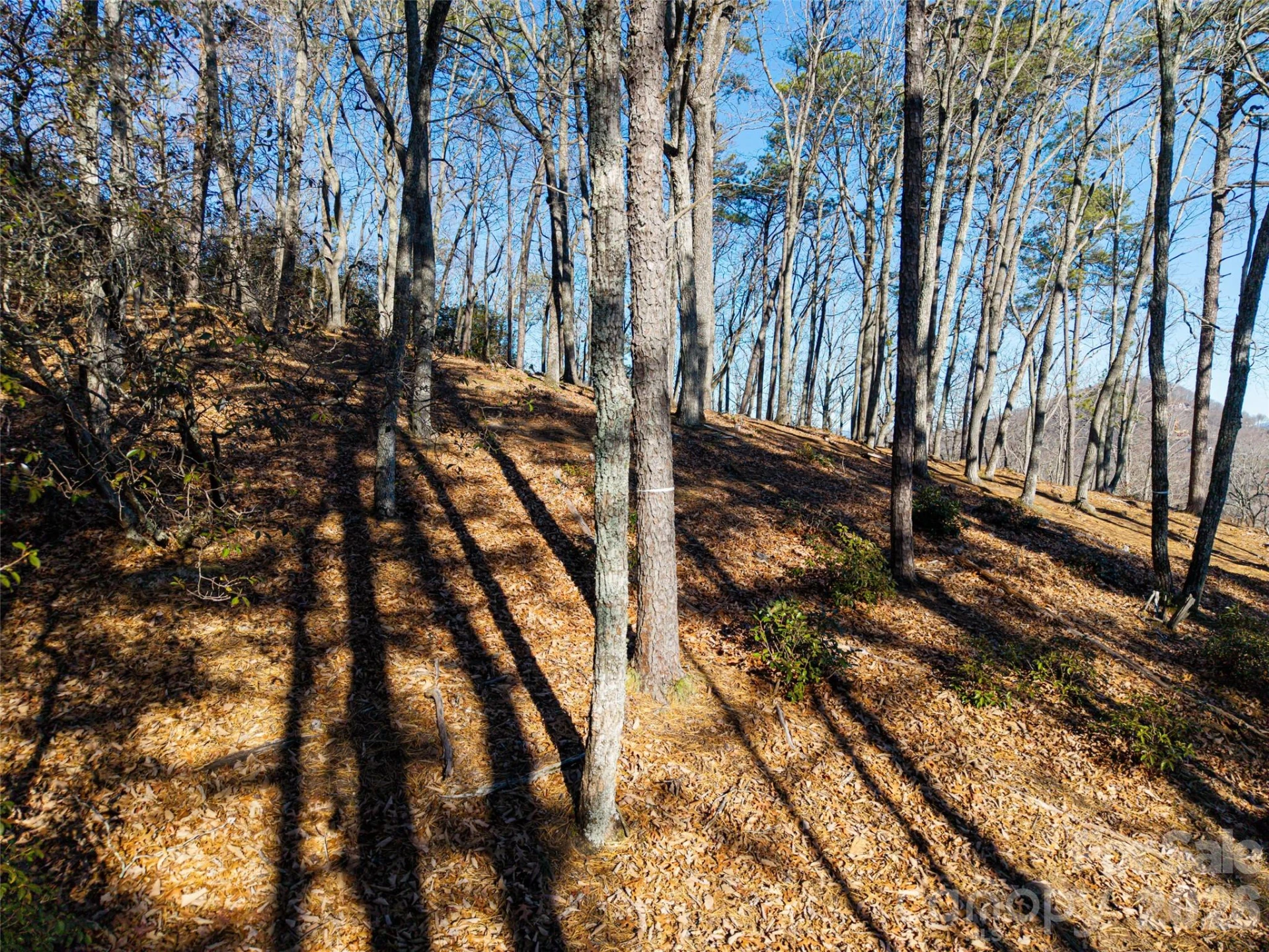 92 Smokey Ridge Trail - Photo 15