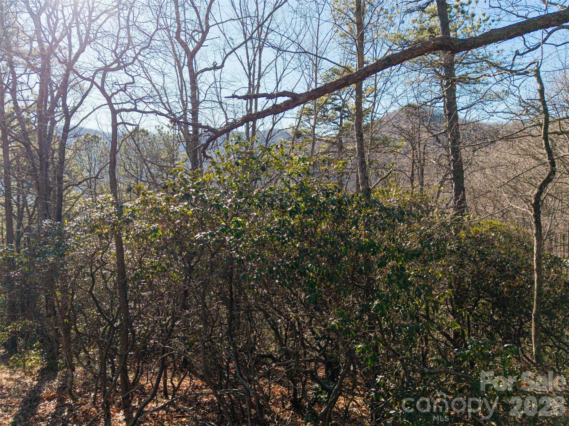 92 Smokey Ridge Trail - Photo 16