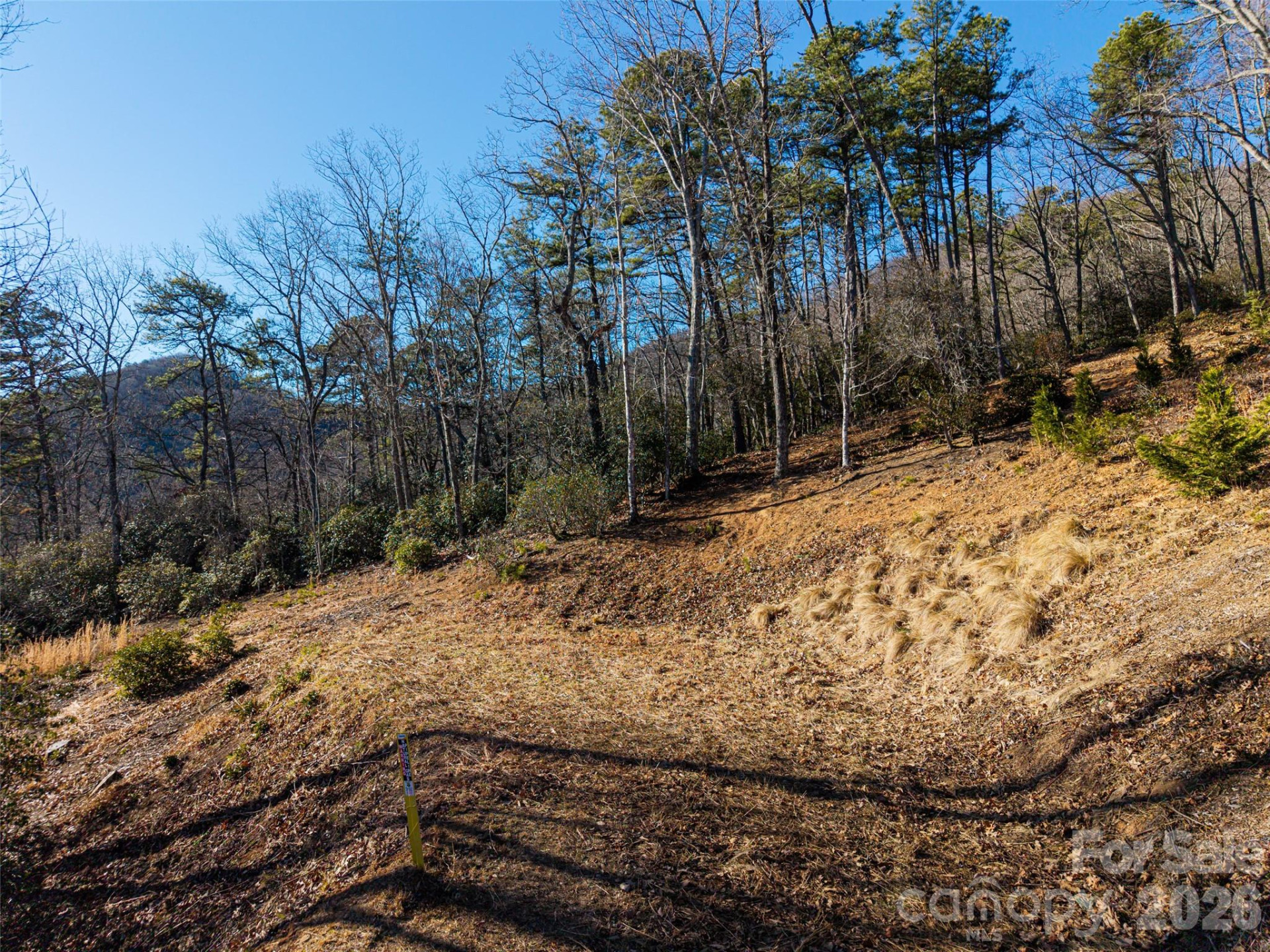 92 Smokey Ridge Trail - Photo 19