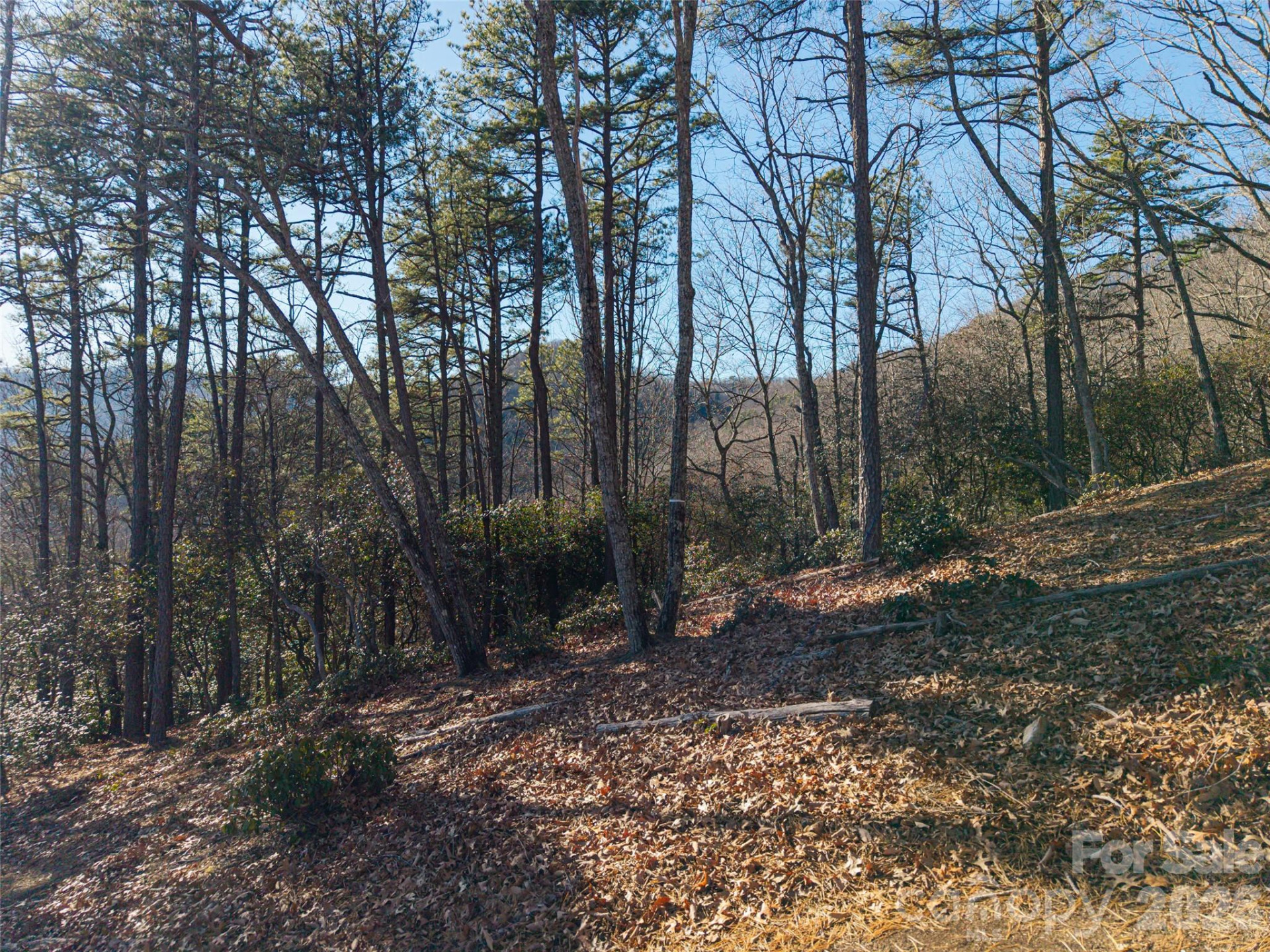 92 Smokey Ridge Trail - Photo 3